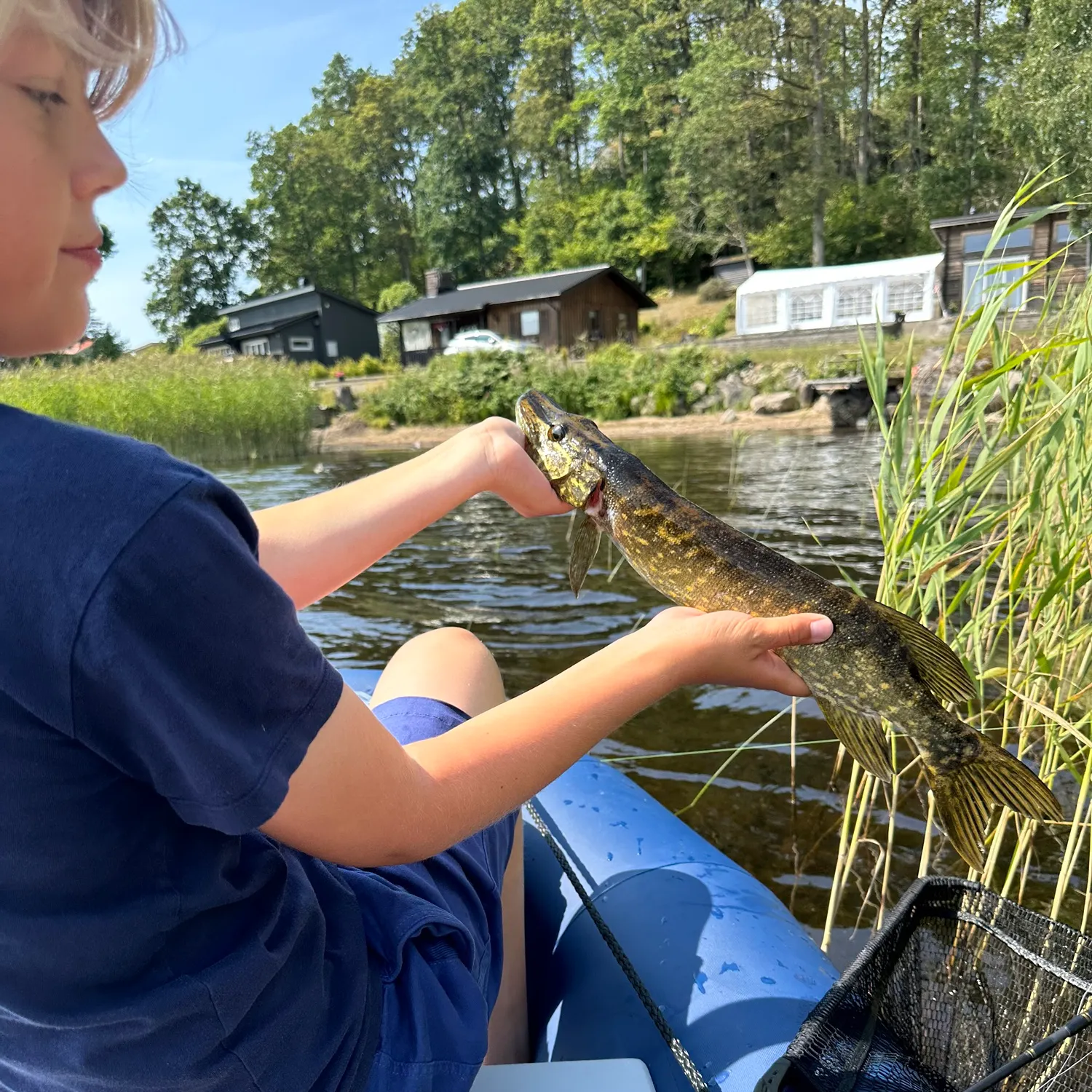 Fish caught on Fishbrain