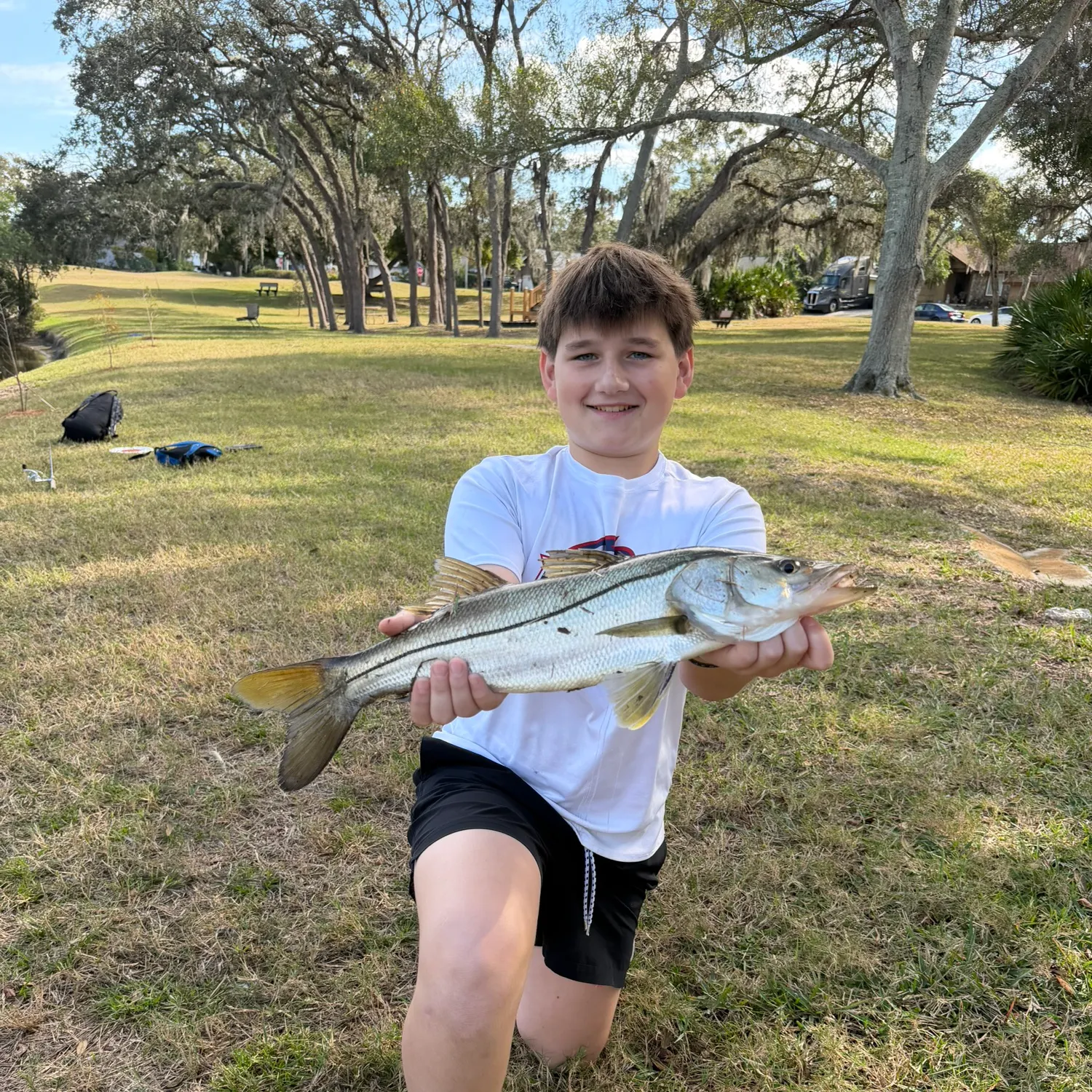 The most recent Common snook catches on Fishbrain