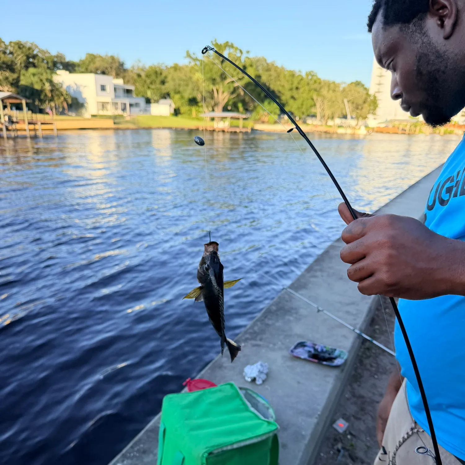 Blue catfish caught on Fishbrain