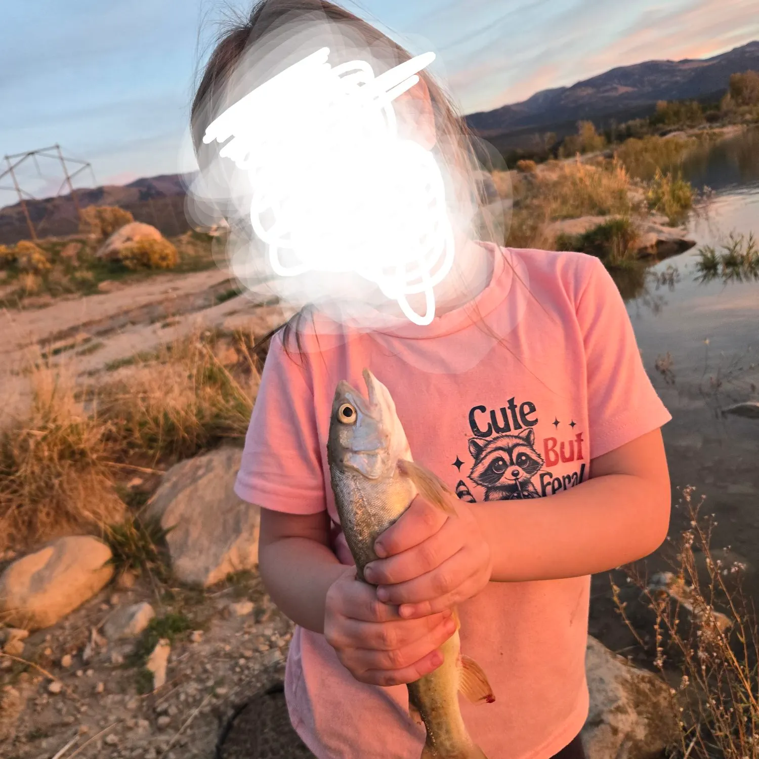 Tiger trout caught on Fishbrain