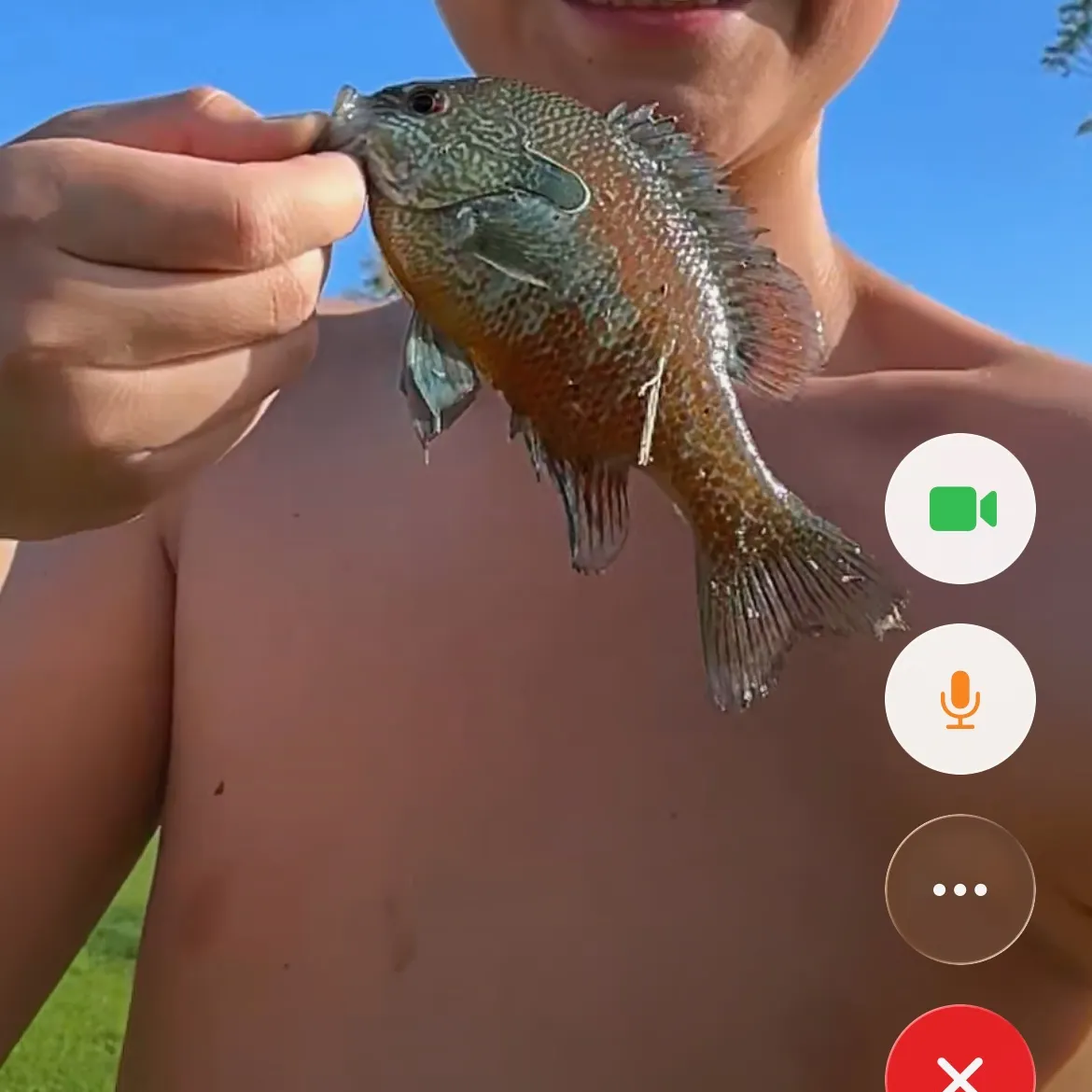 The most recent Pumpkinseed x redbreast sunfish catches on Fishbrain