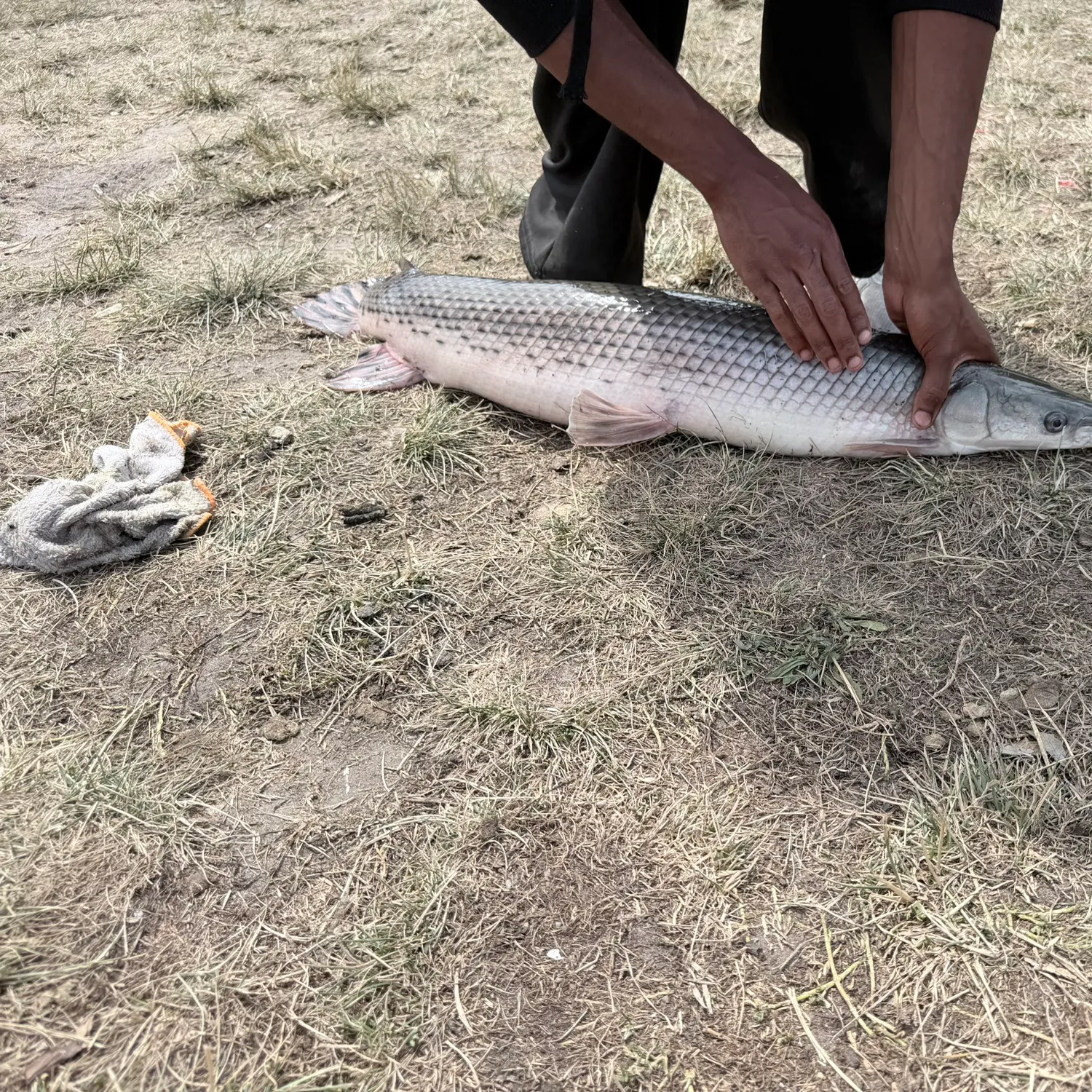 catch