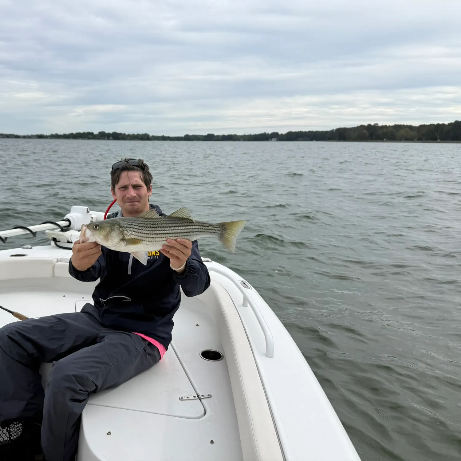 Striped bass caught on Fishbrain