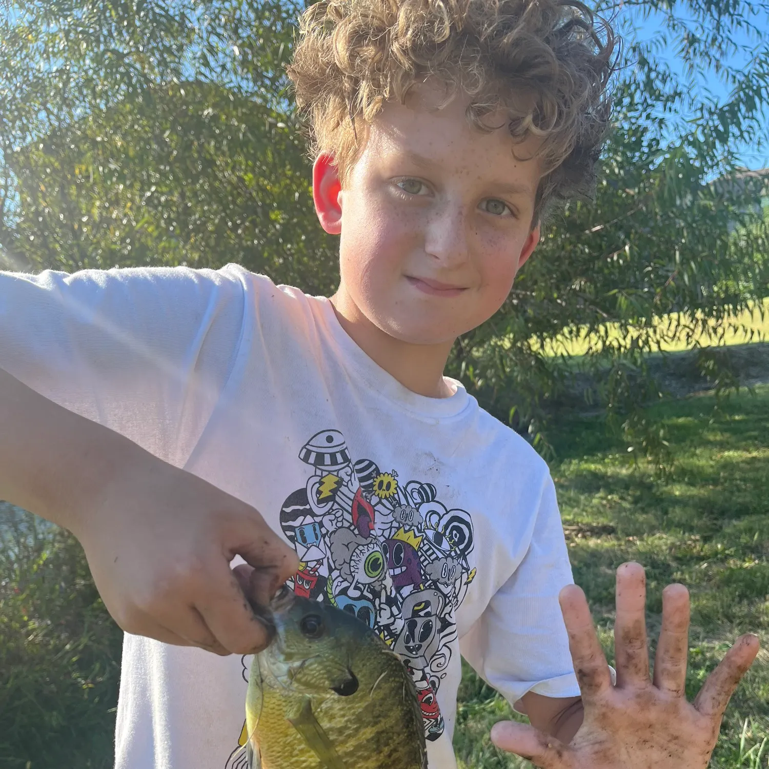 Bluegill caught on Fishbrain