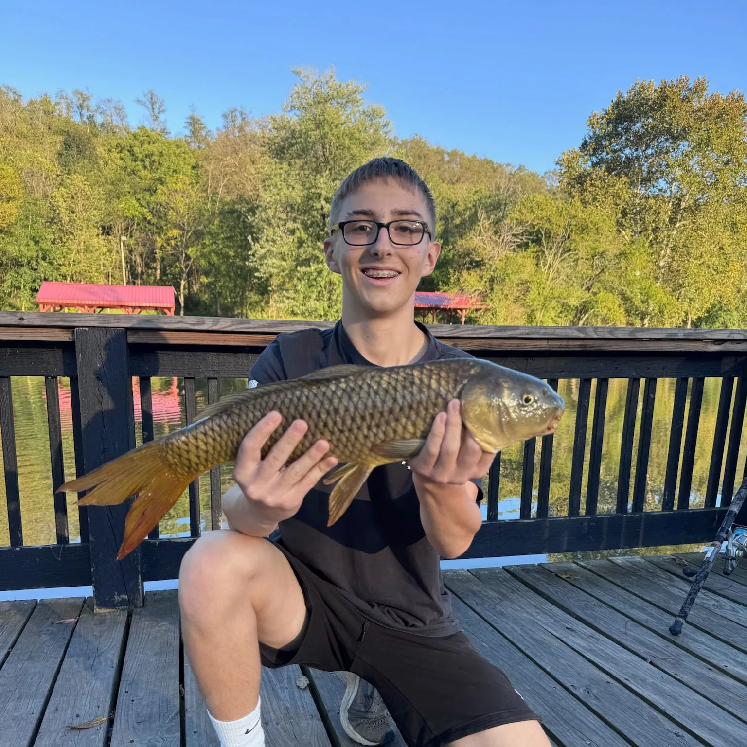 Common carp caught on Fishbrain