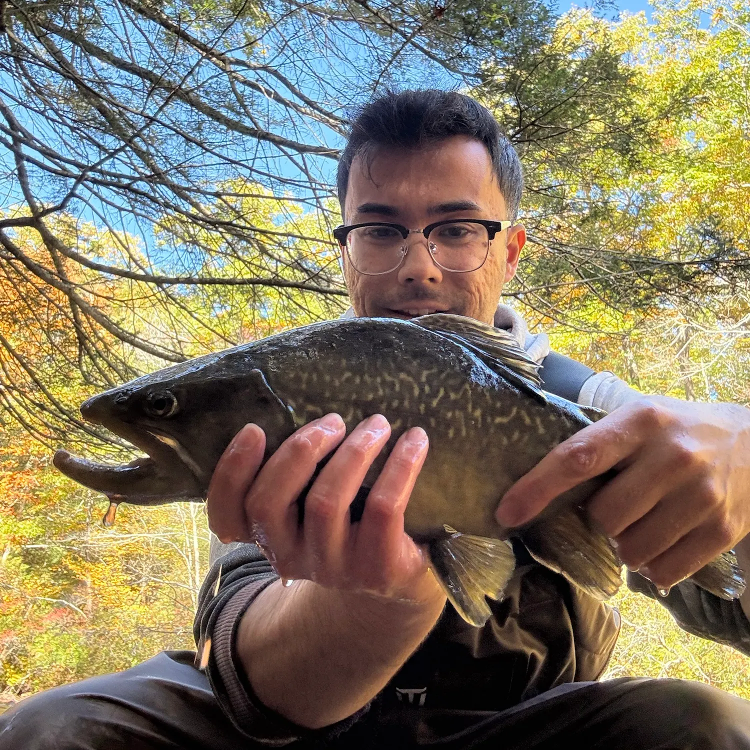 Tiger trout caught on Fishbrain
