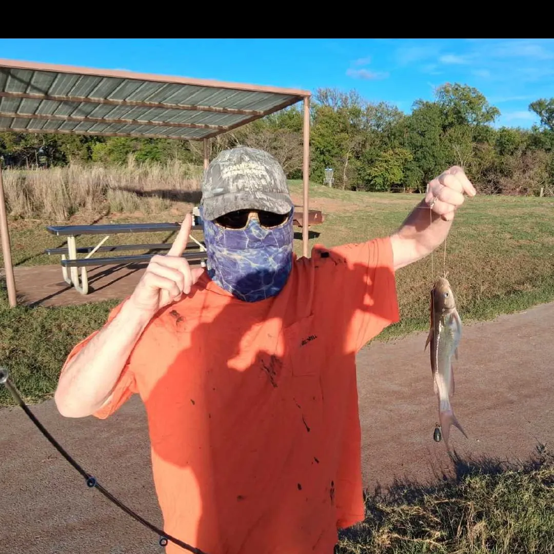Channel catfish caught on Fishbrain