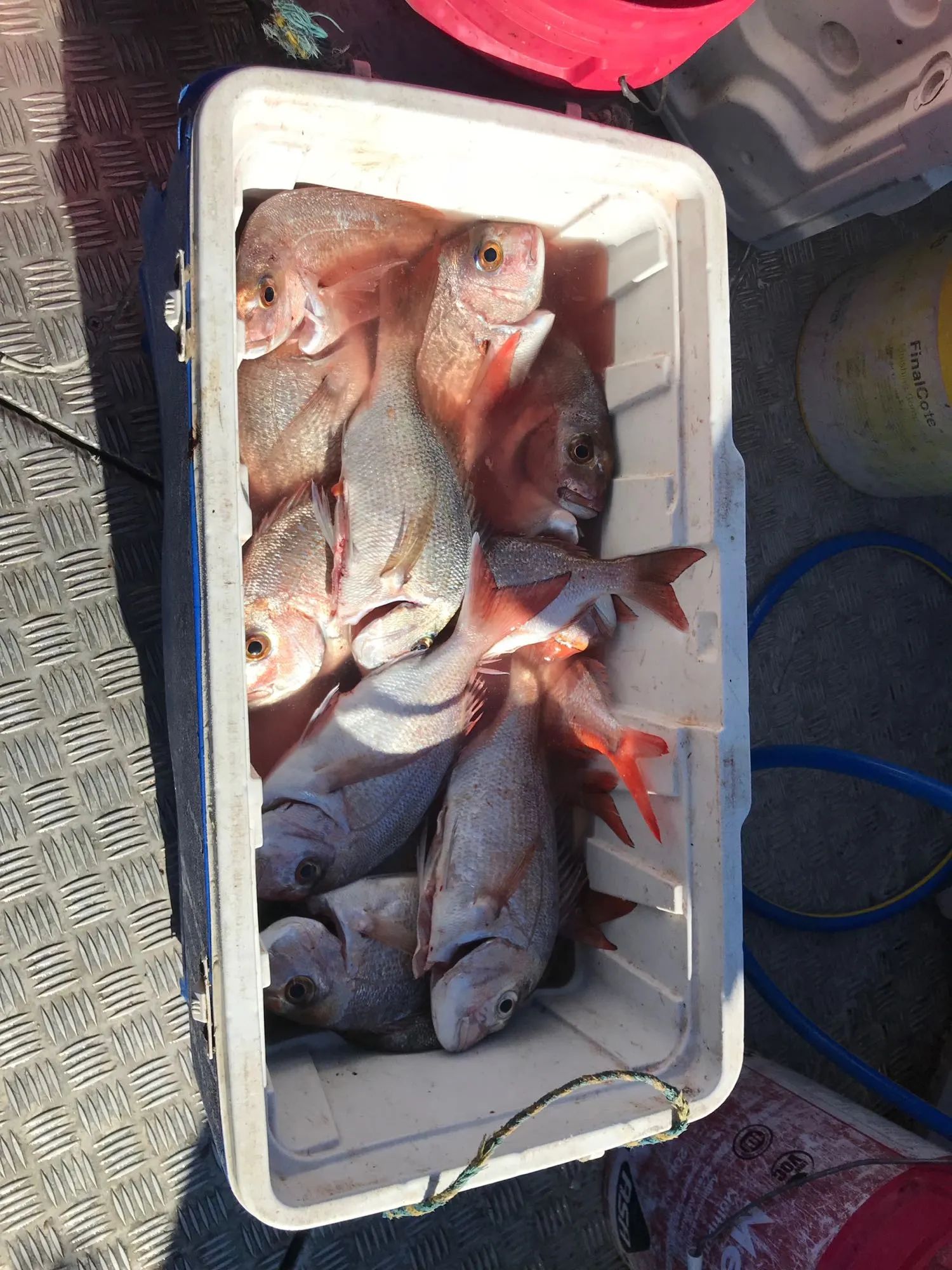 Post image from twebber7903