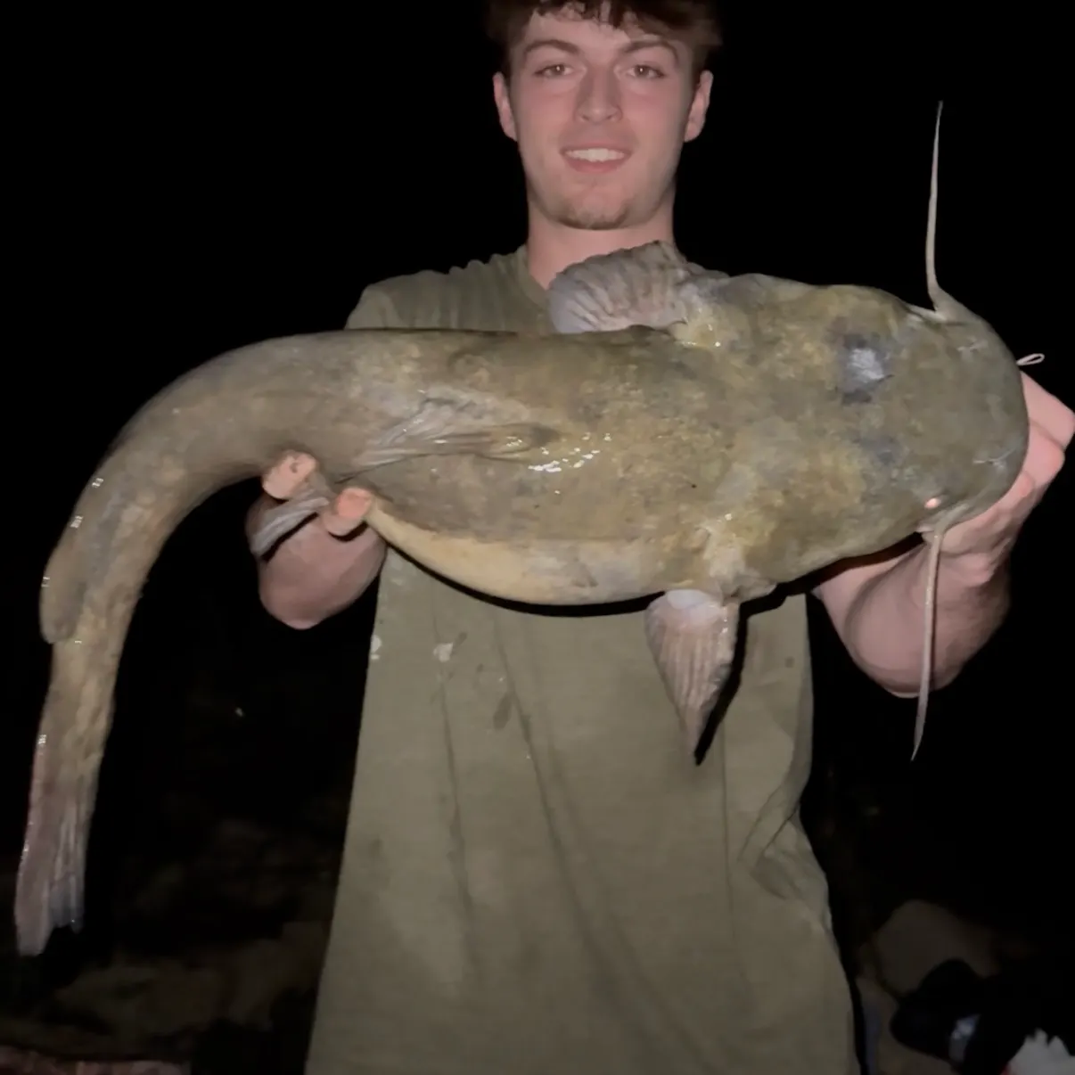 The most recent Flathead catfish catches on Fishbrain