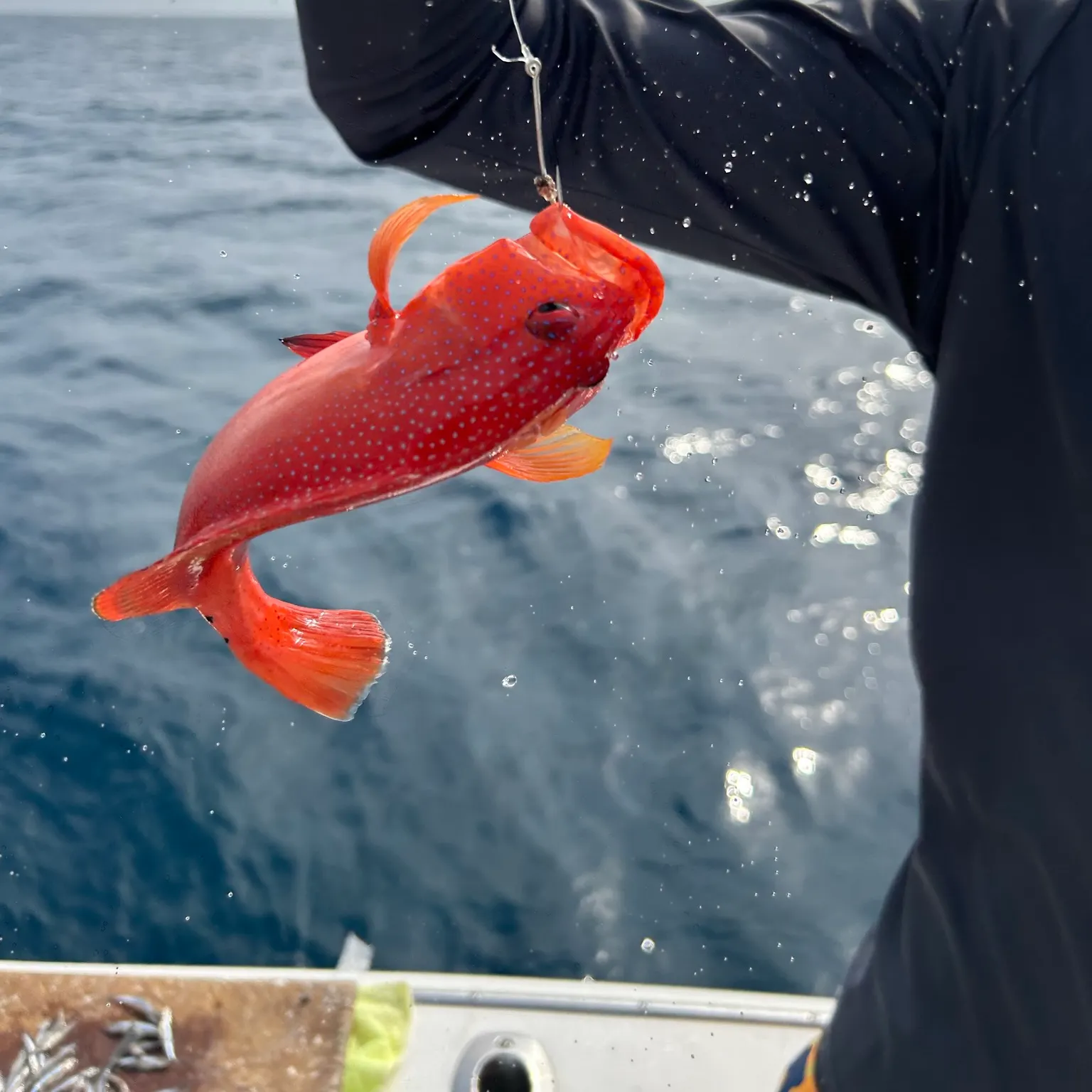 most liked catch image