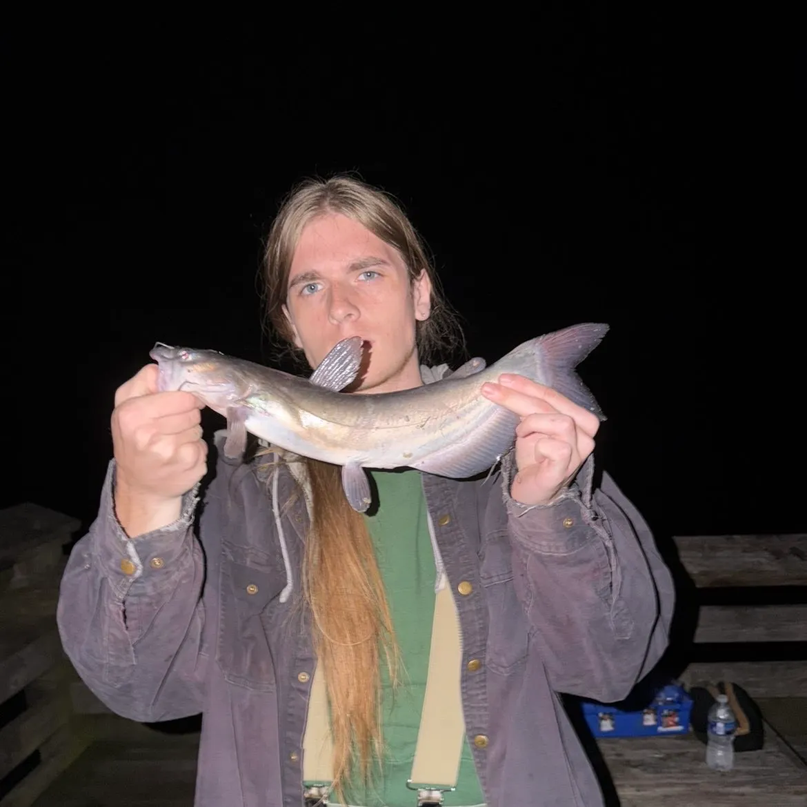 Channel catfish caught on Fishbrain