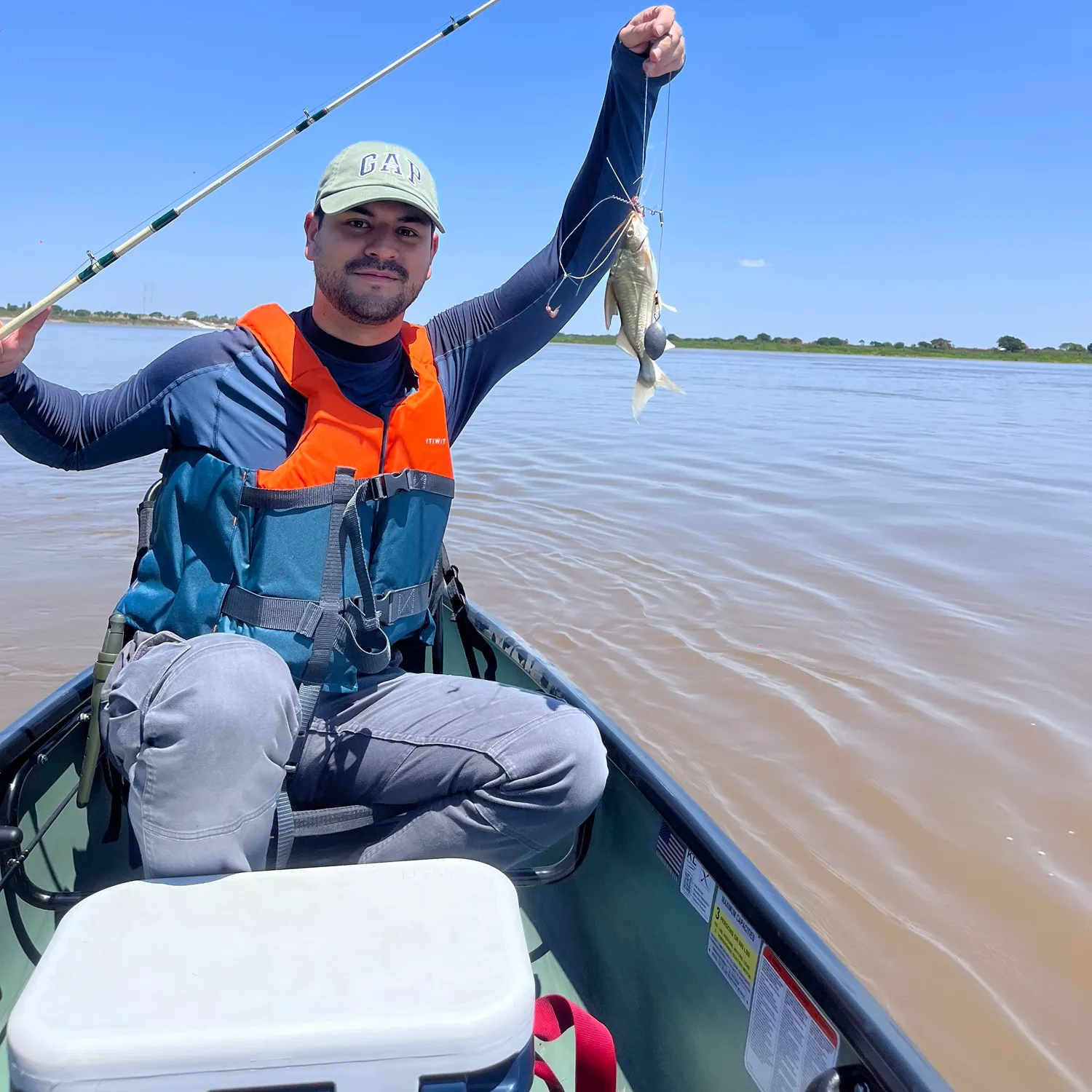 The most recent Pale catfish catches on Fishbrain