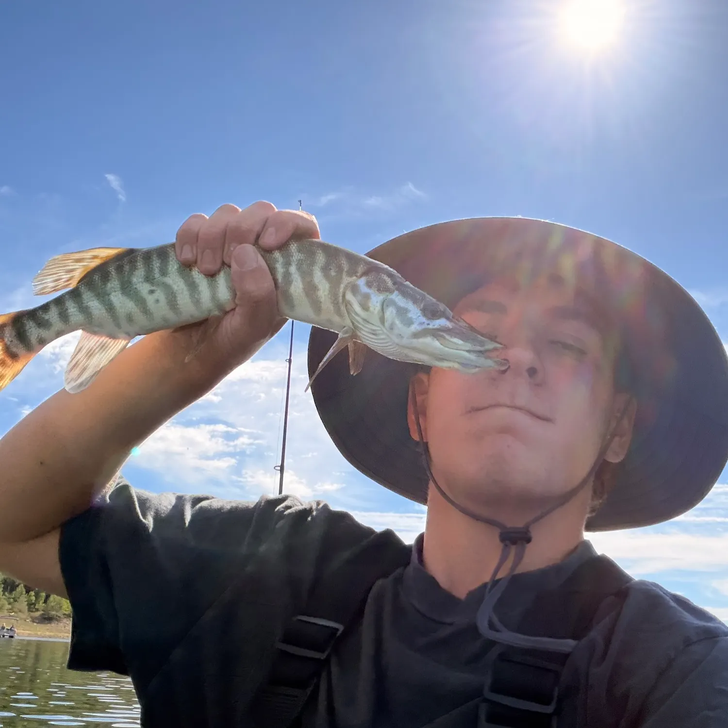 Tiger muskie caught on Fishbrain