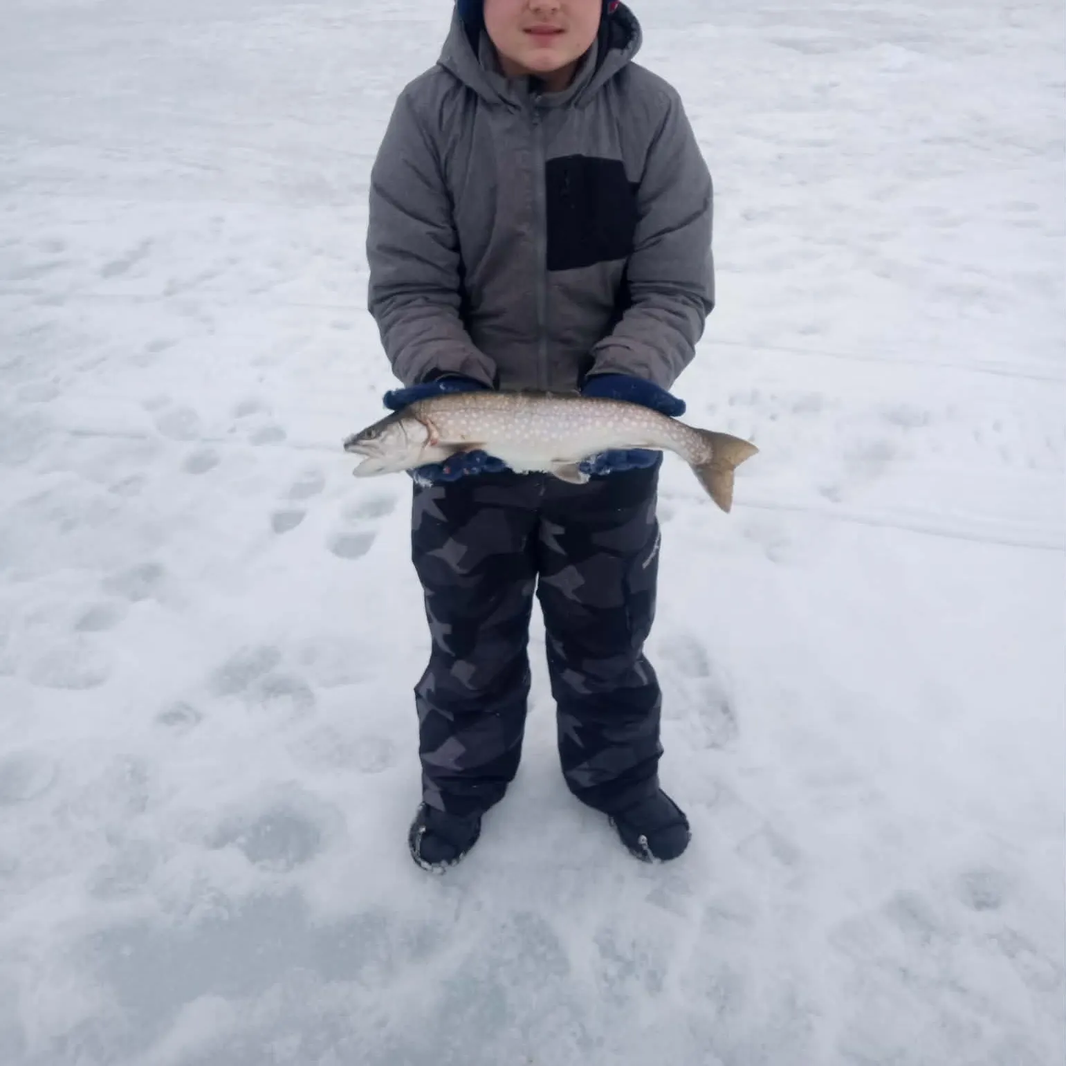 The most recent Splake catches on Fishbrain