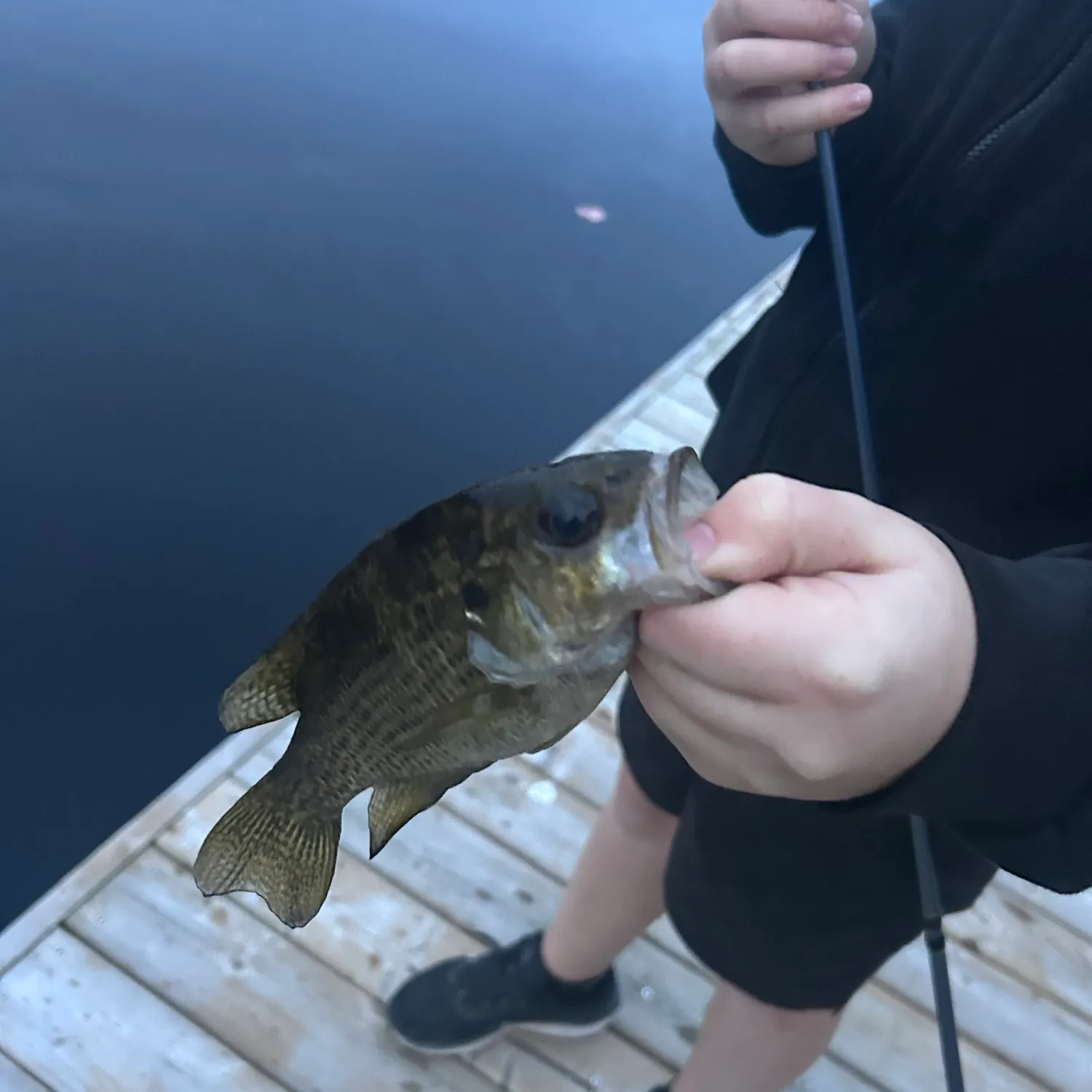 Fish caught on Fishbrain