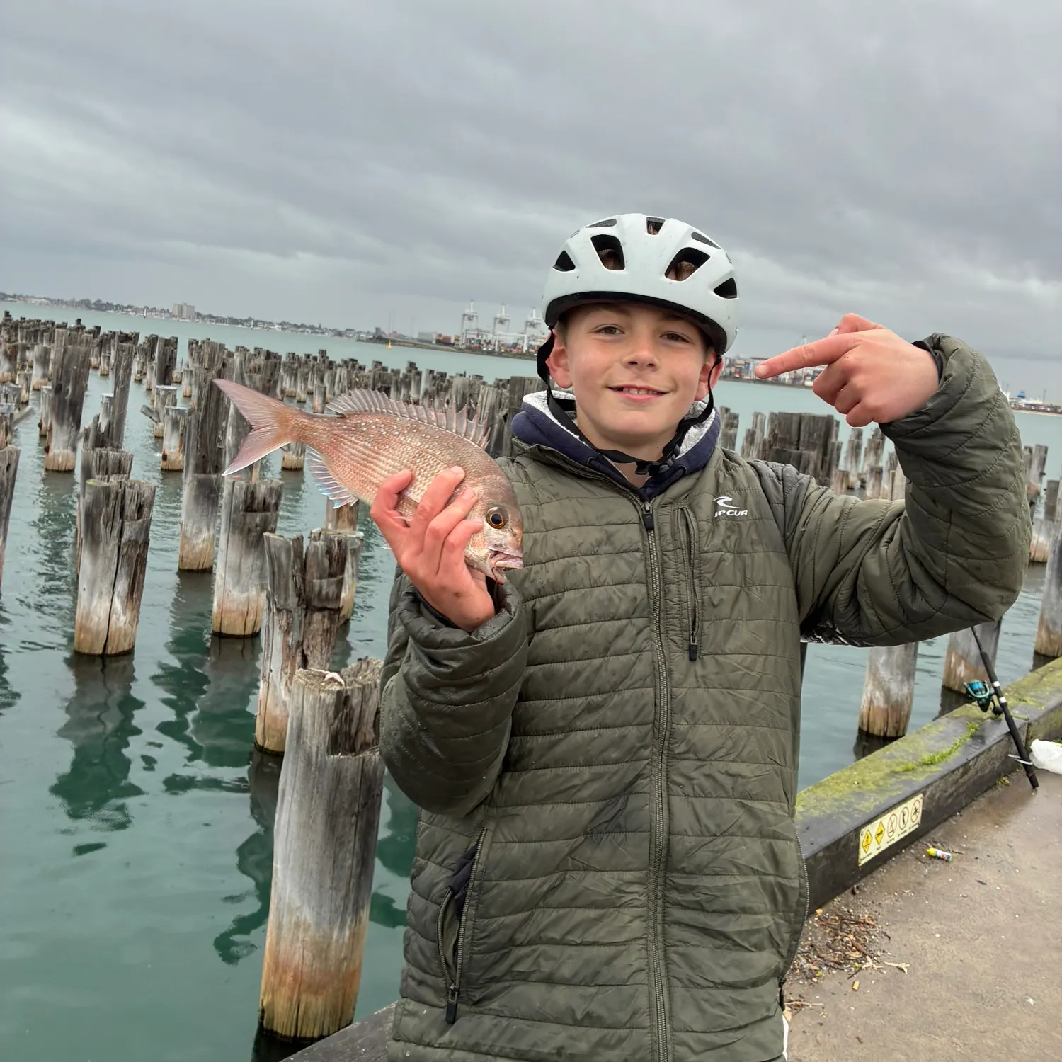 The most recent Australasian snapper catches on Fishbrain
