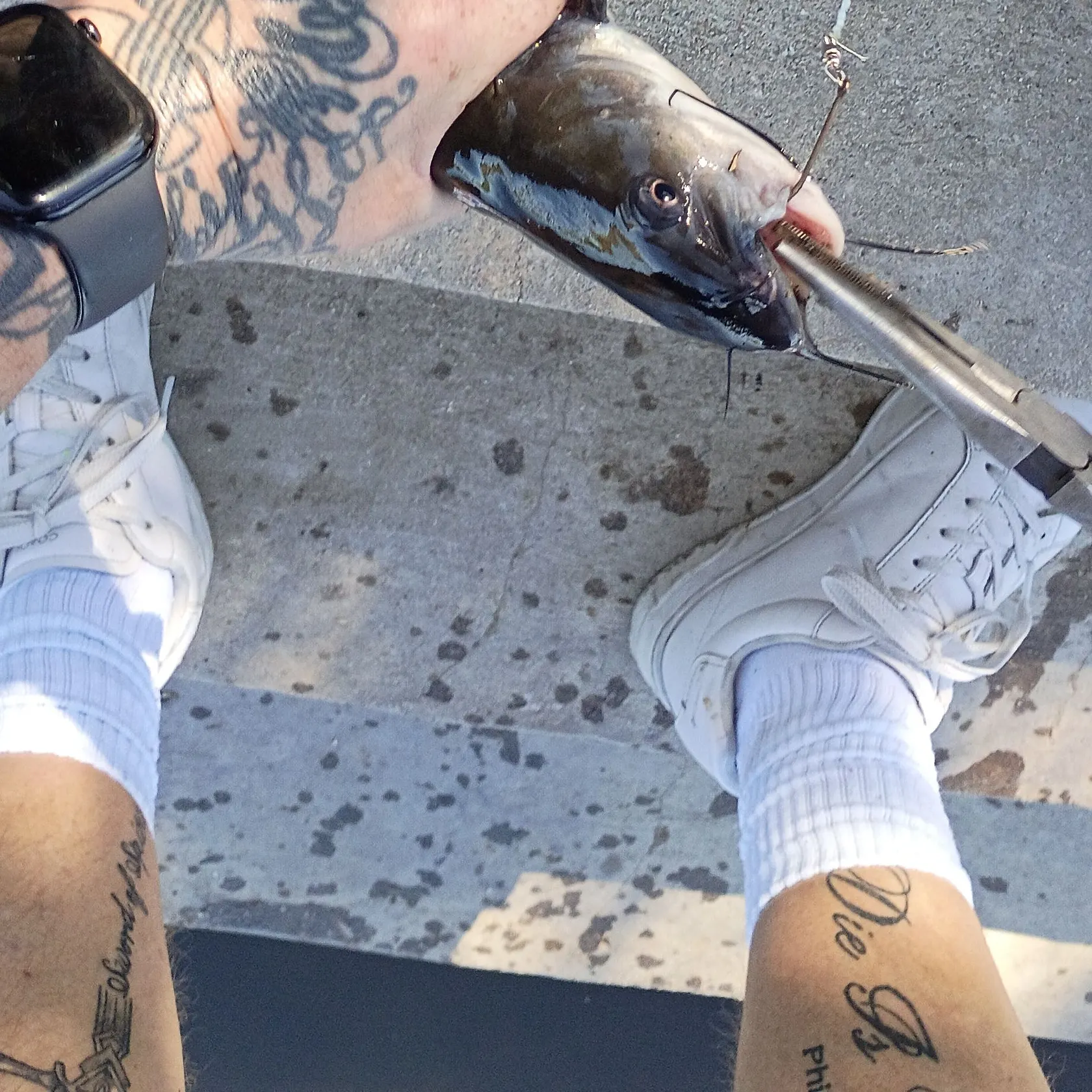 catch