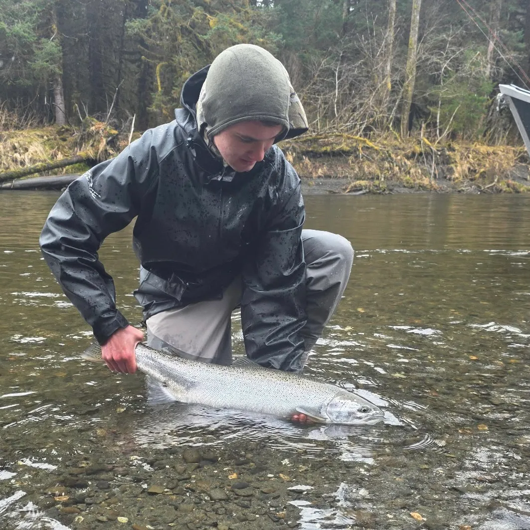 Steelhead caught on Fishbrain