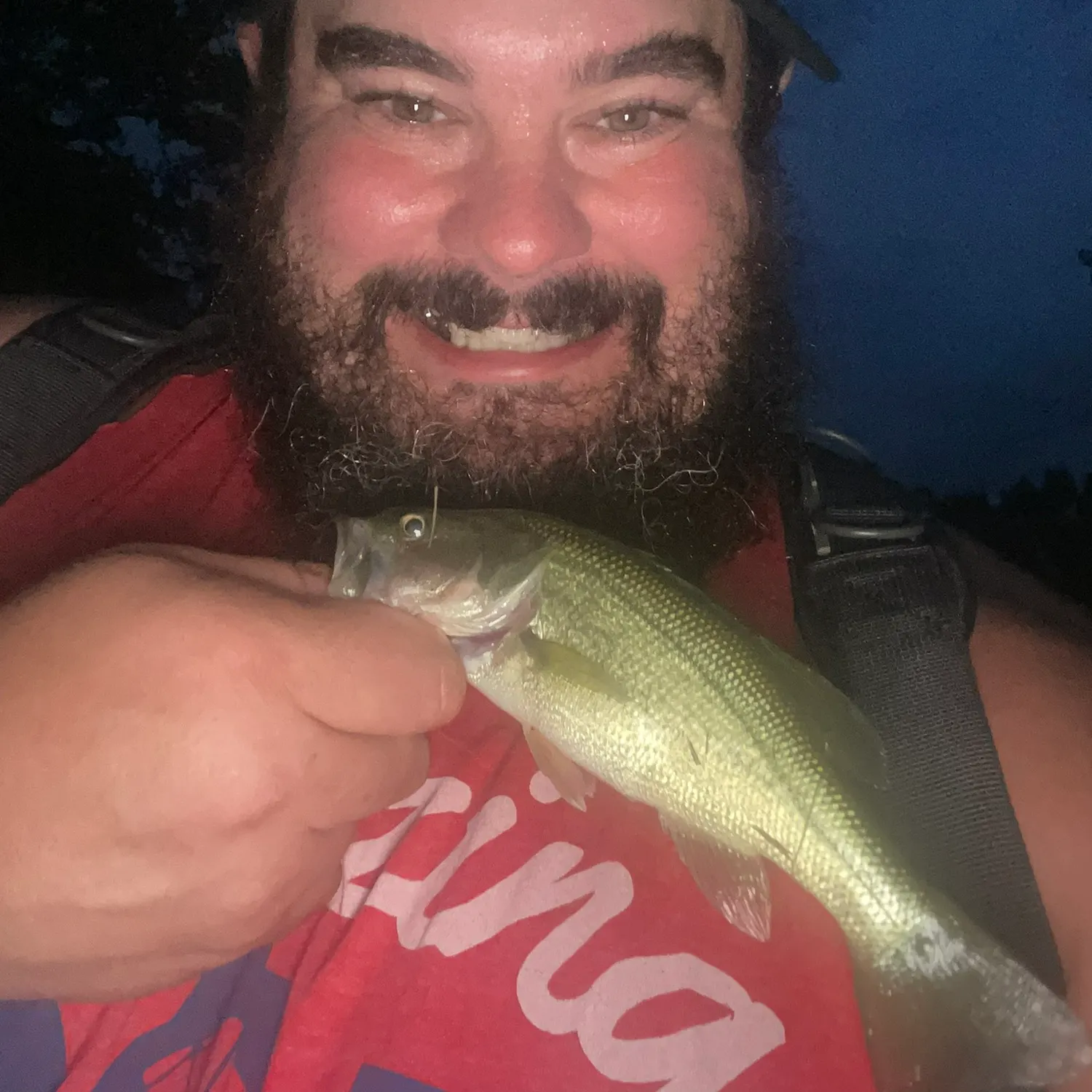 Largemouth bass caught on Fishbrain