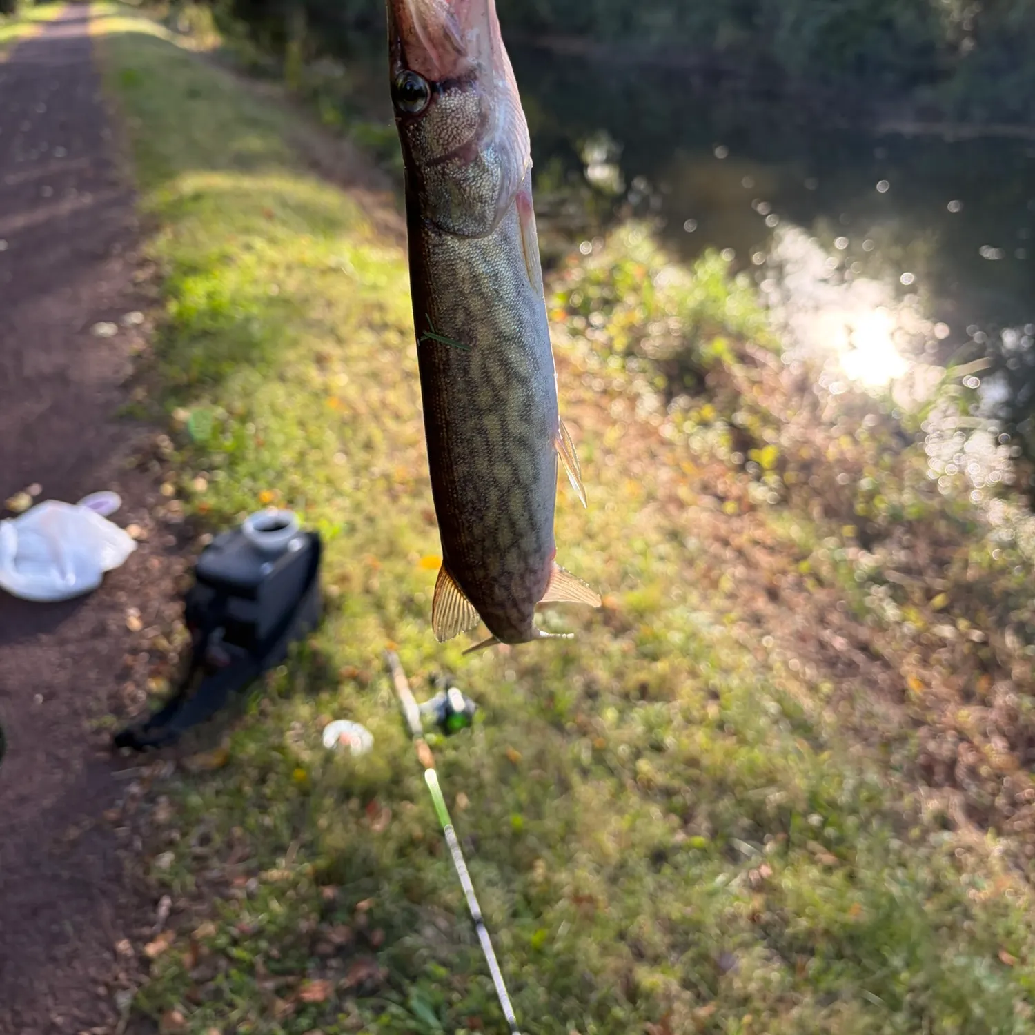 catch