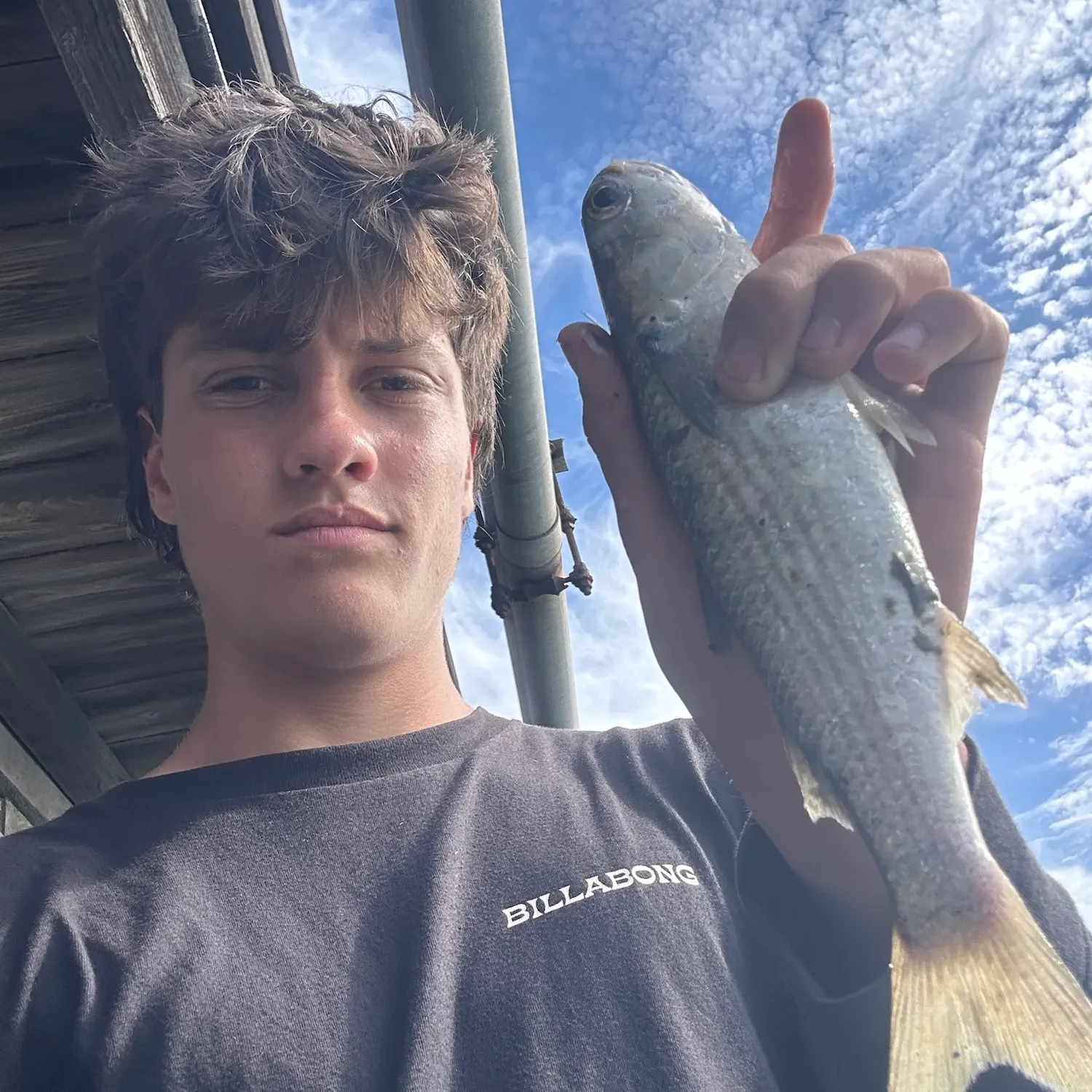 Striped mullet caught on Fishbrain