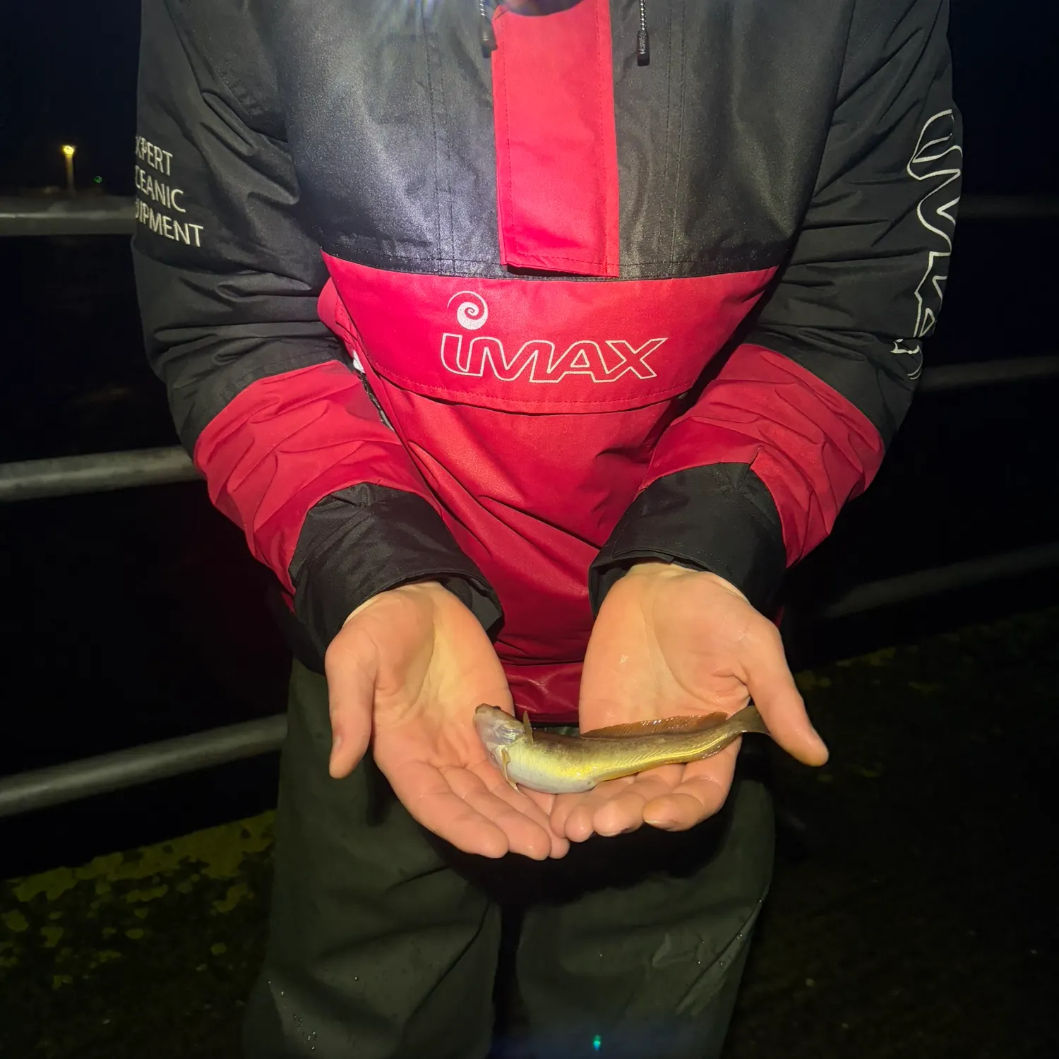 The most recent Fourbeard rockling catches on Fishbrain