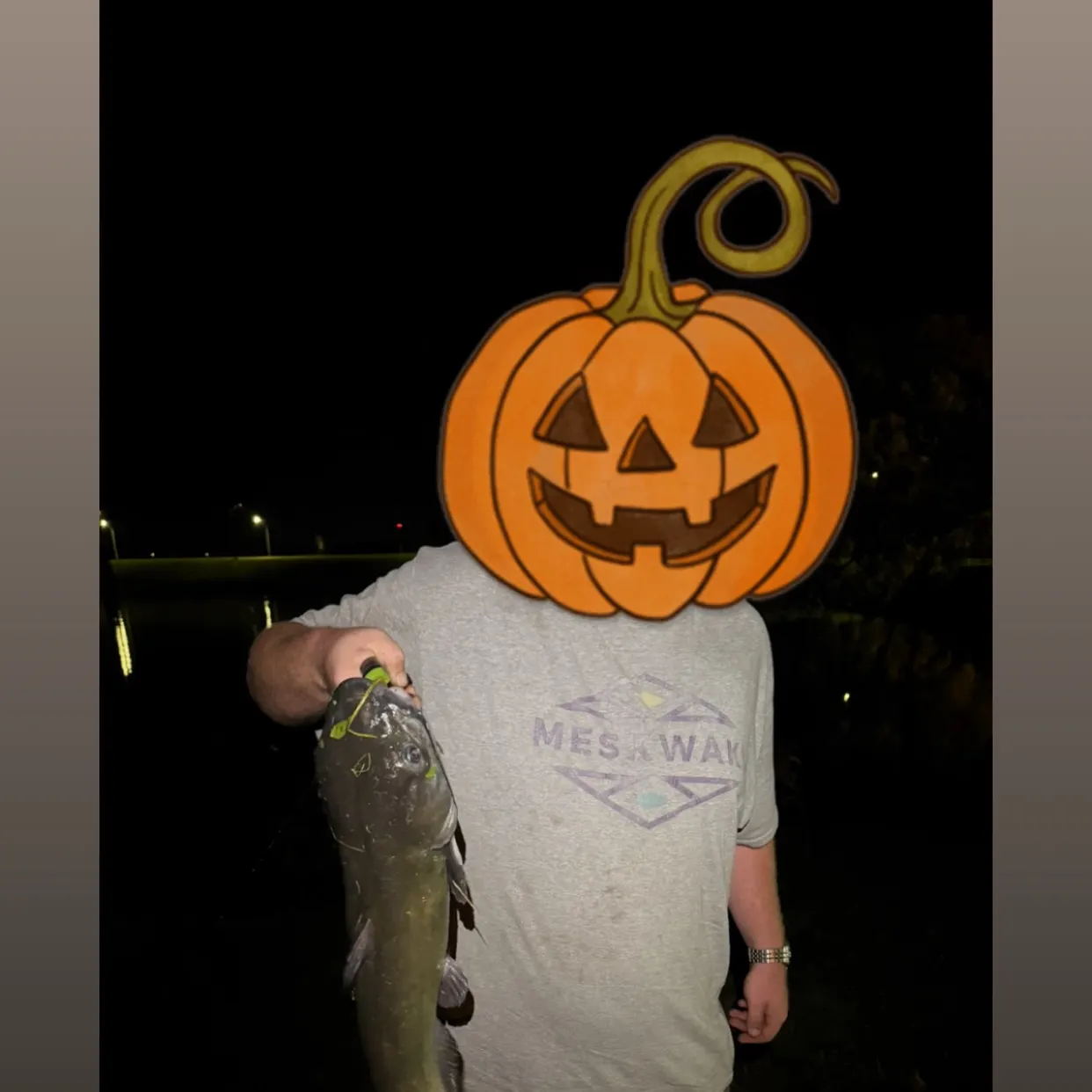 Channel catfish caught on Fishbrain