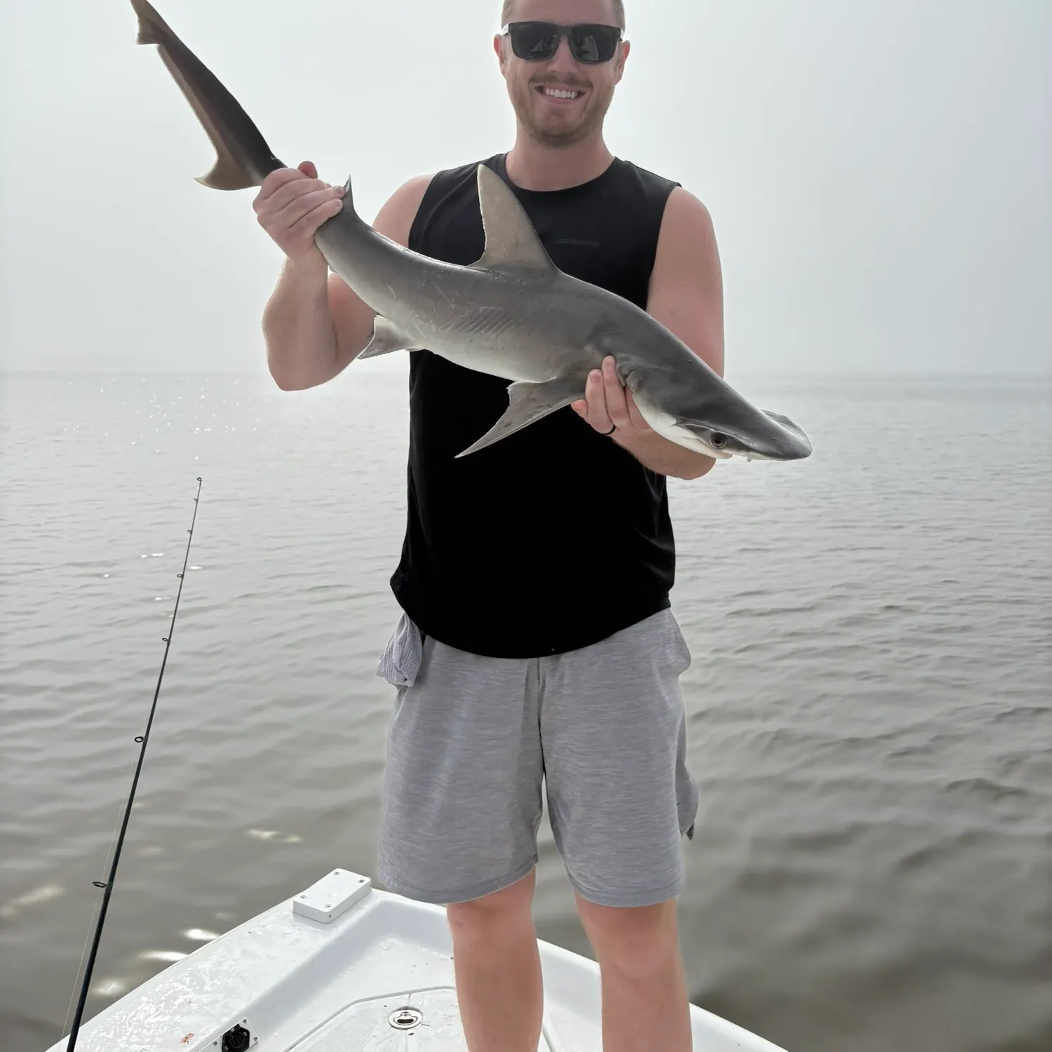 The most recent Bonnethead shark catches on Fishbrain