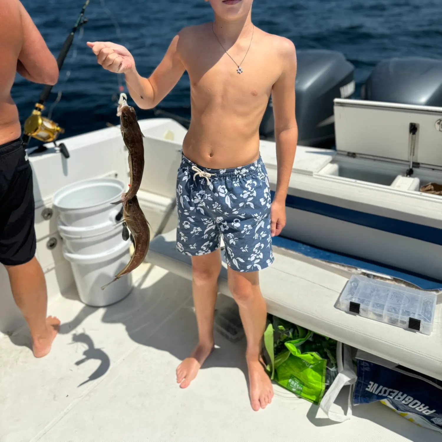 The most recent Red hake catches on Fishbrain