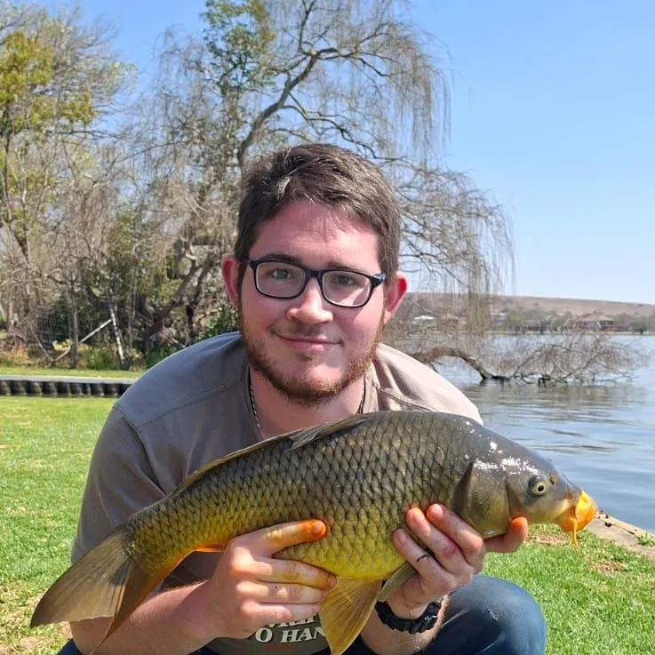 Common carp caught on Fishbrain
