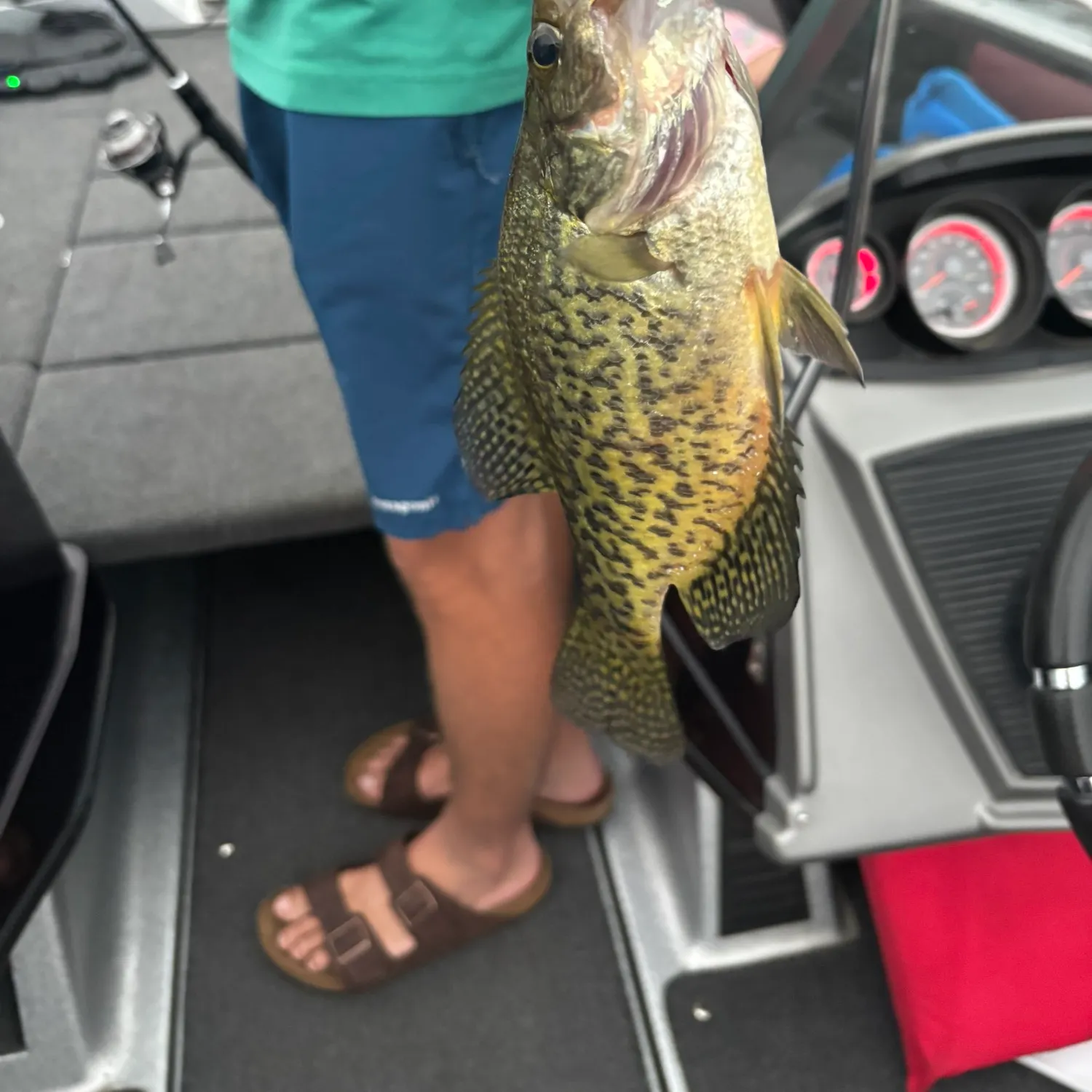 Black crappie caught on Fishbrain