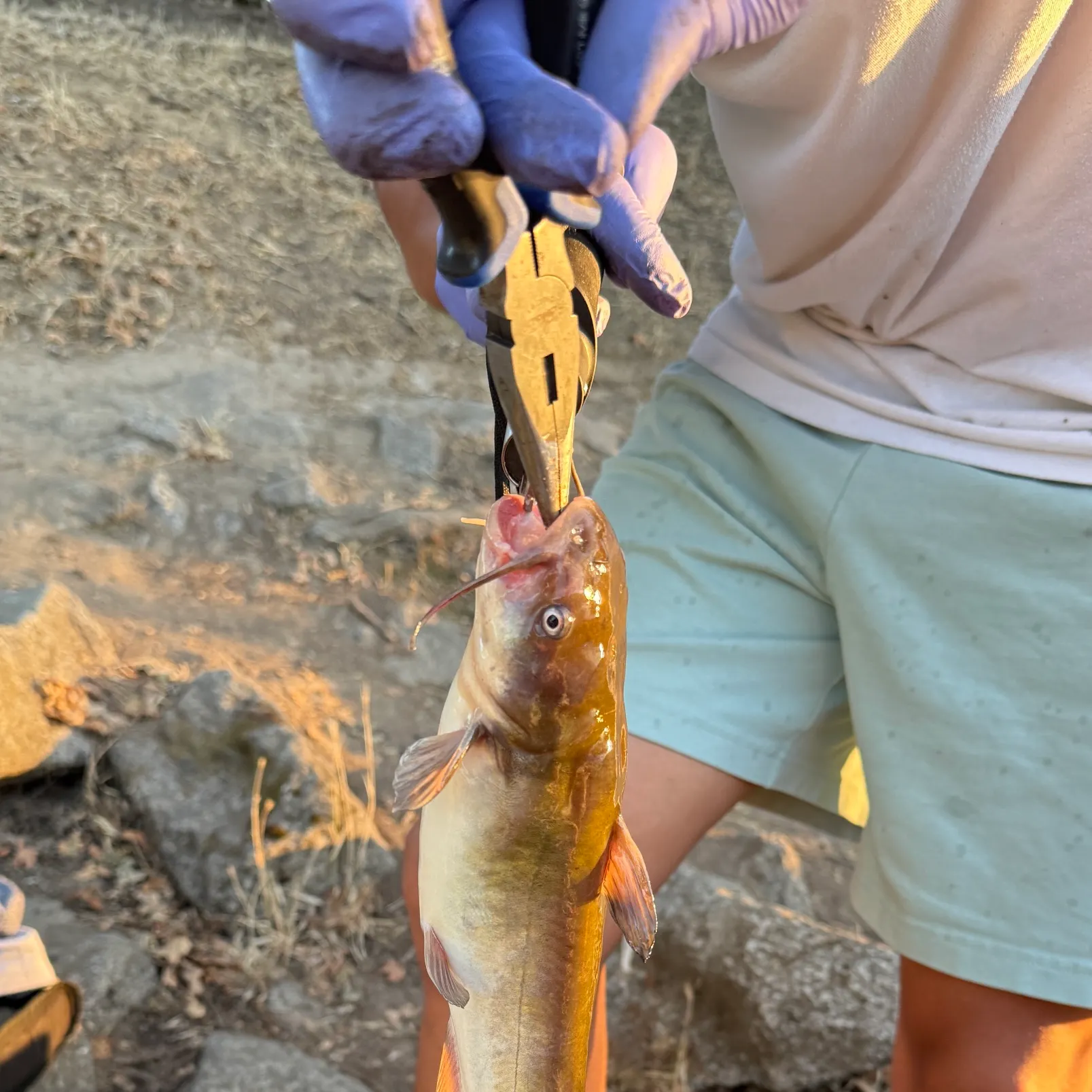 catch