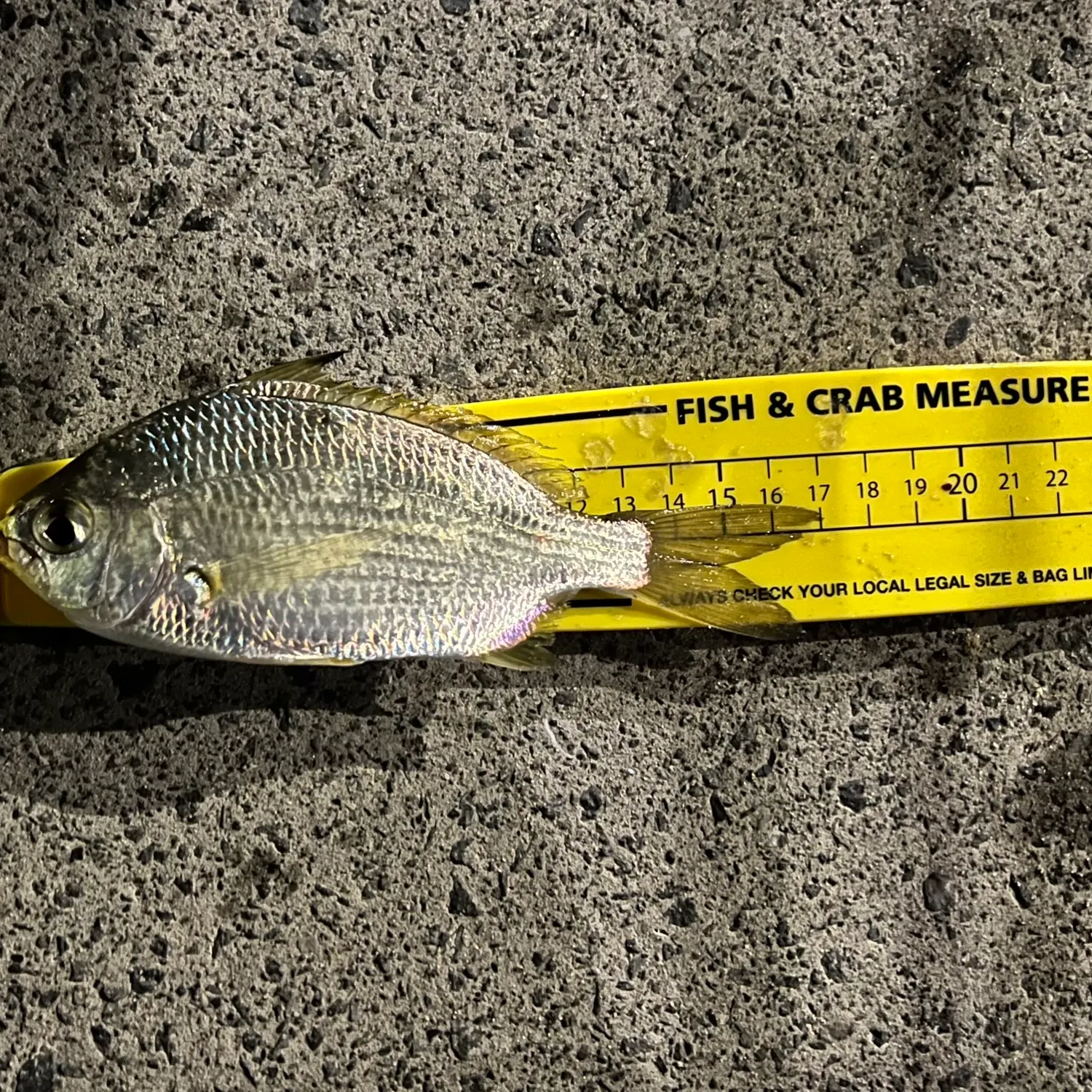 most liked catch image