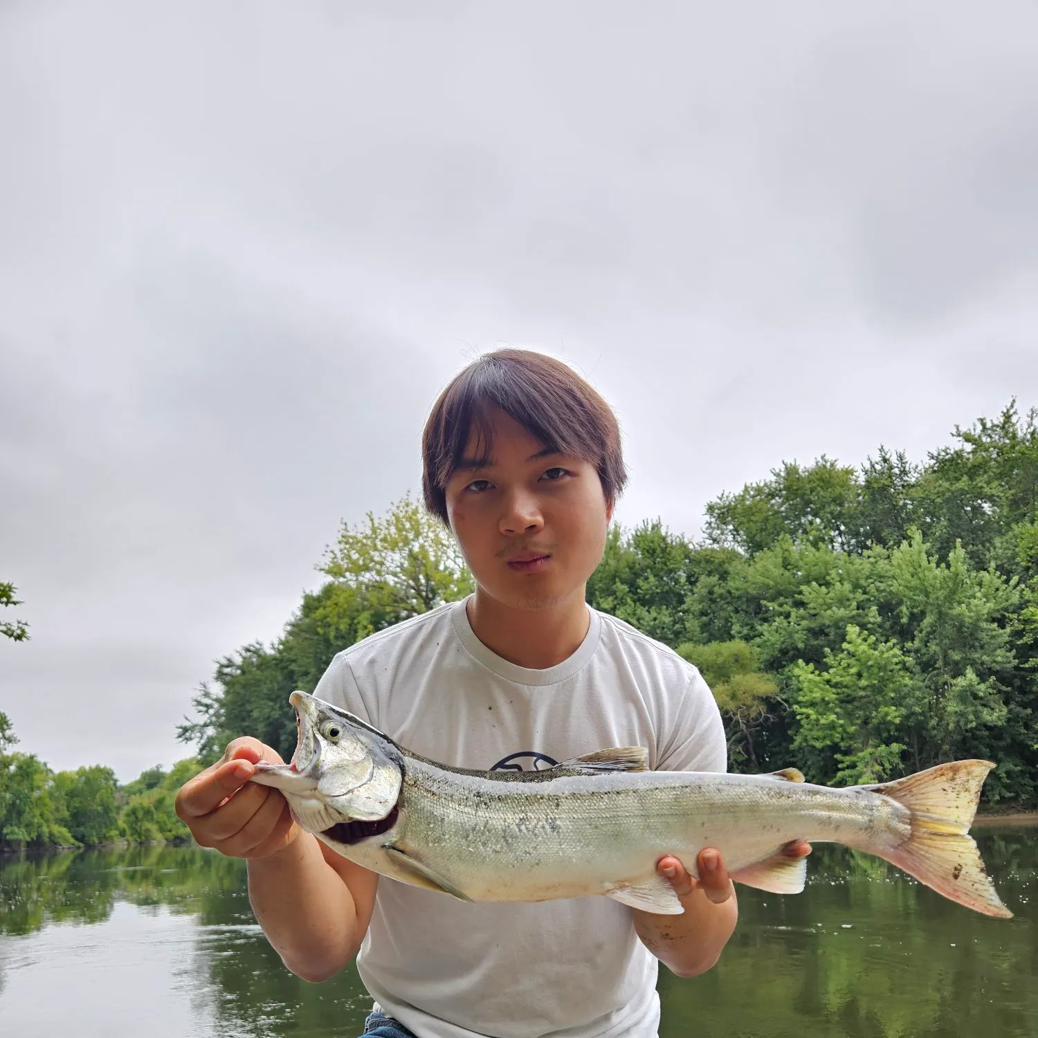 Coho salmon caught on Fishbrain