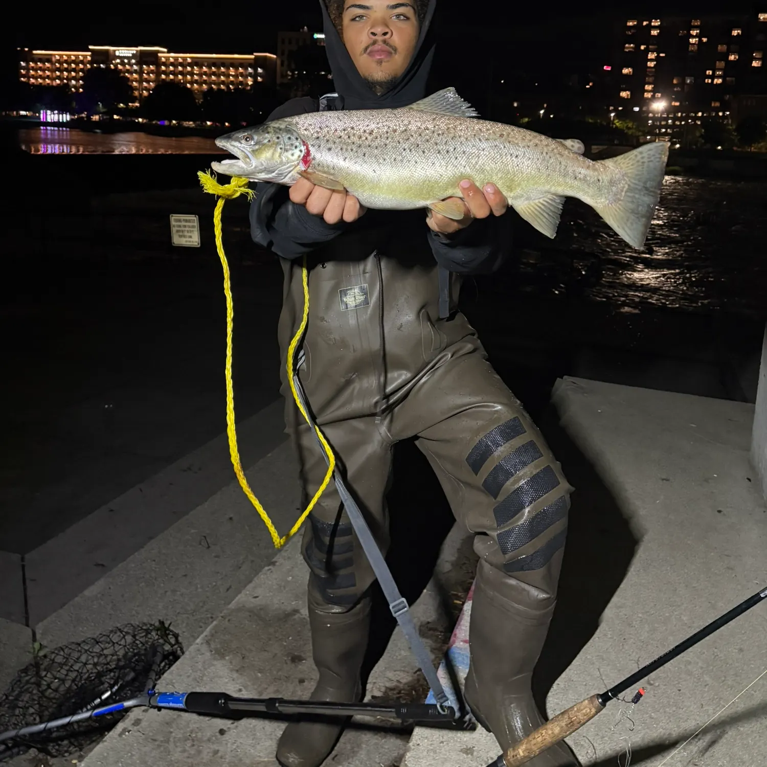 Sea trout caught on Fishbrain
