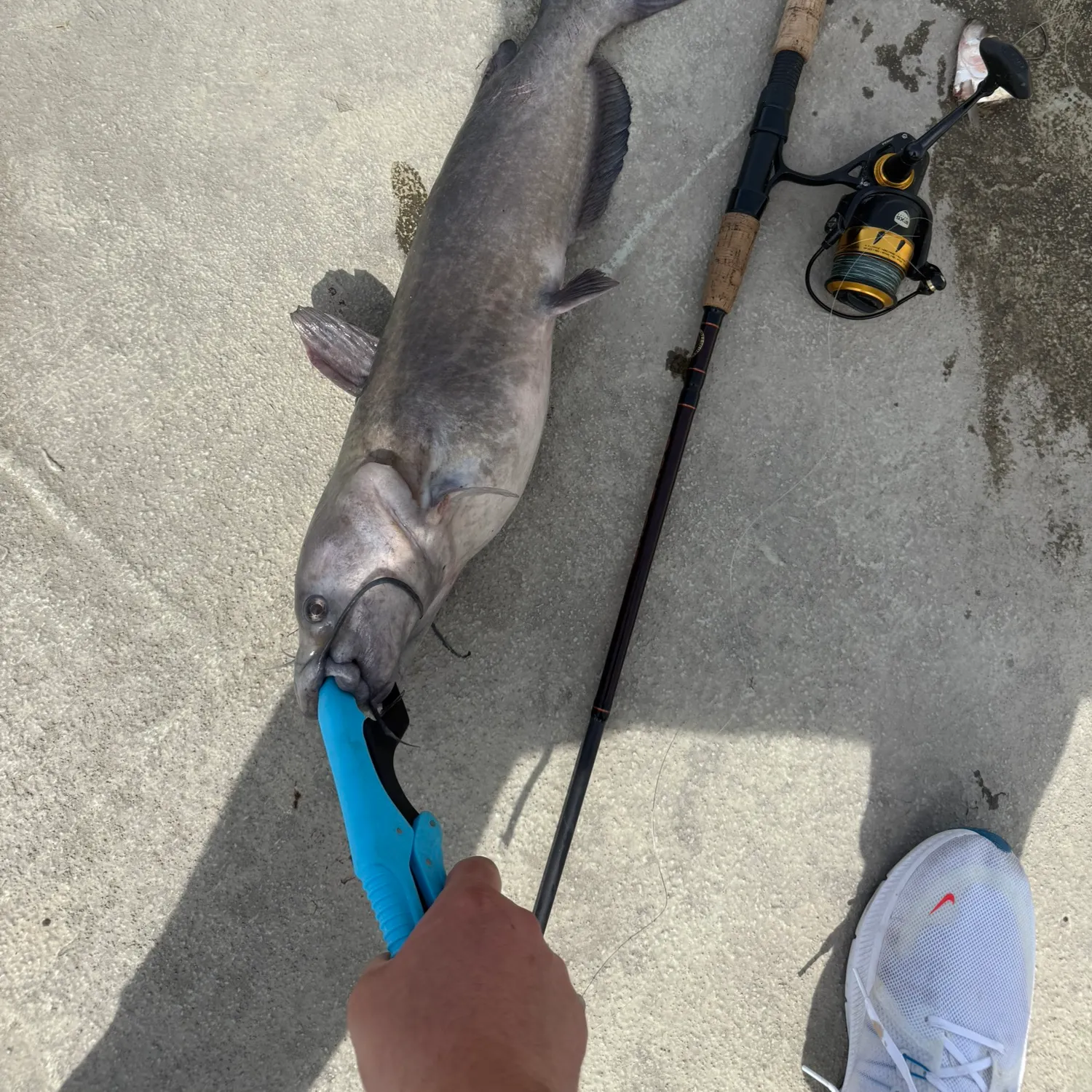 catch