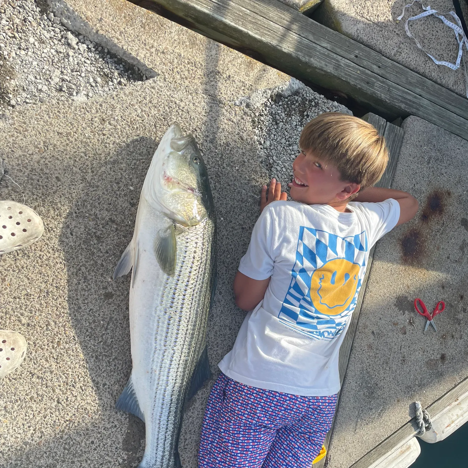 Striped bass caught on Fishbrain
