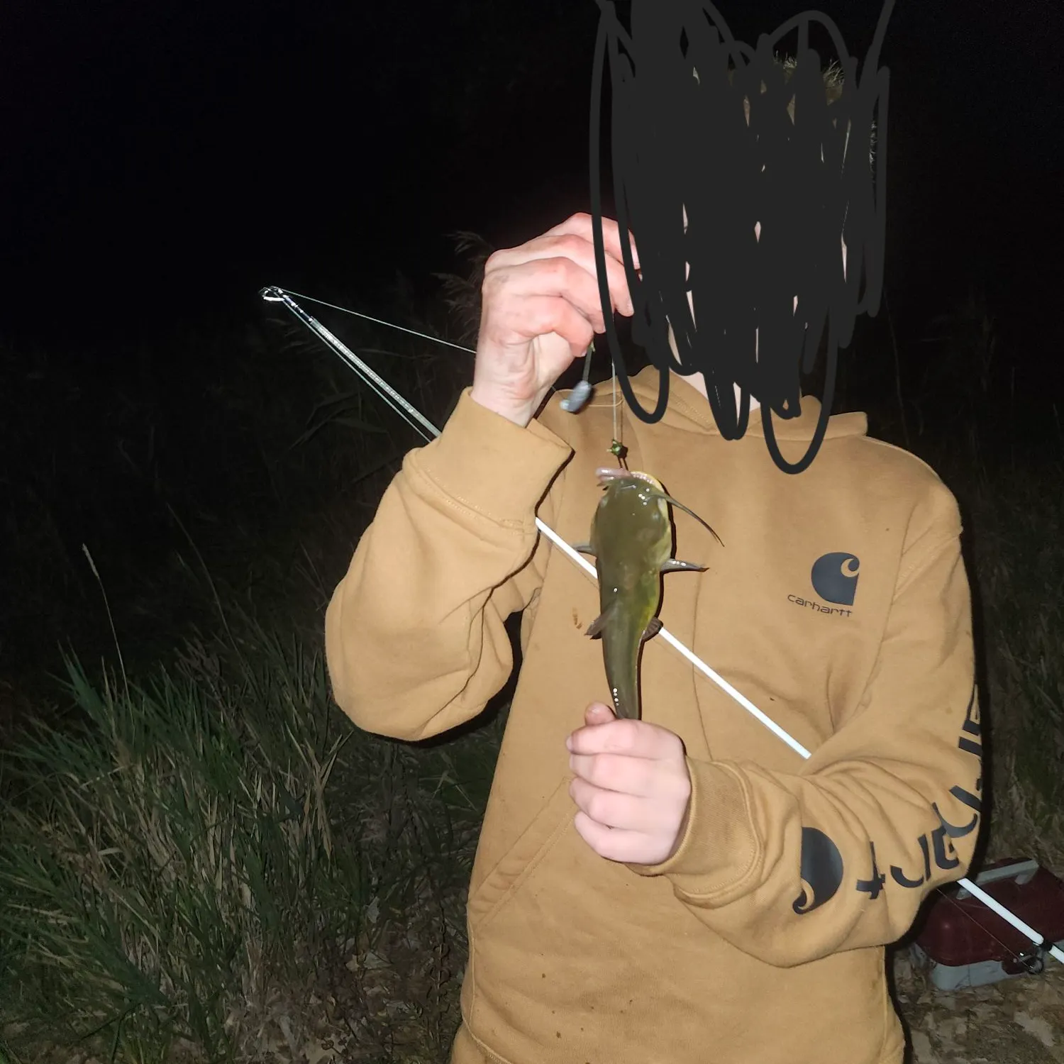 Yellow bullhead caught on Fishbrain