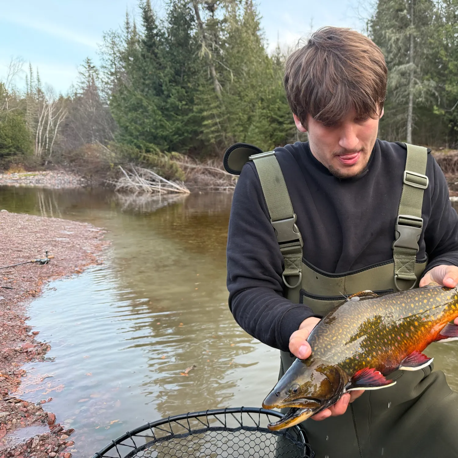 Brook trout caught on Fishbrain