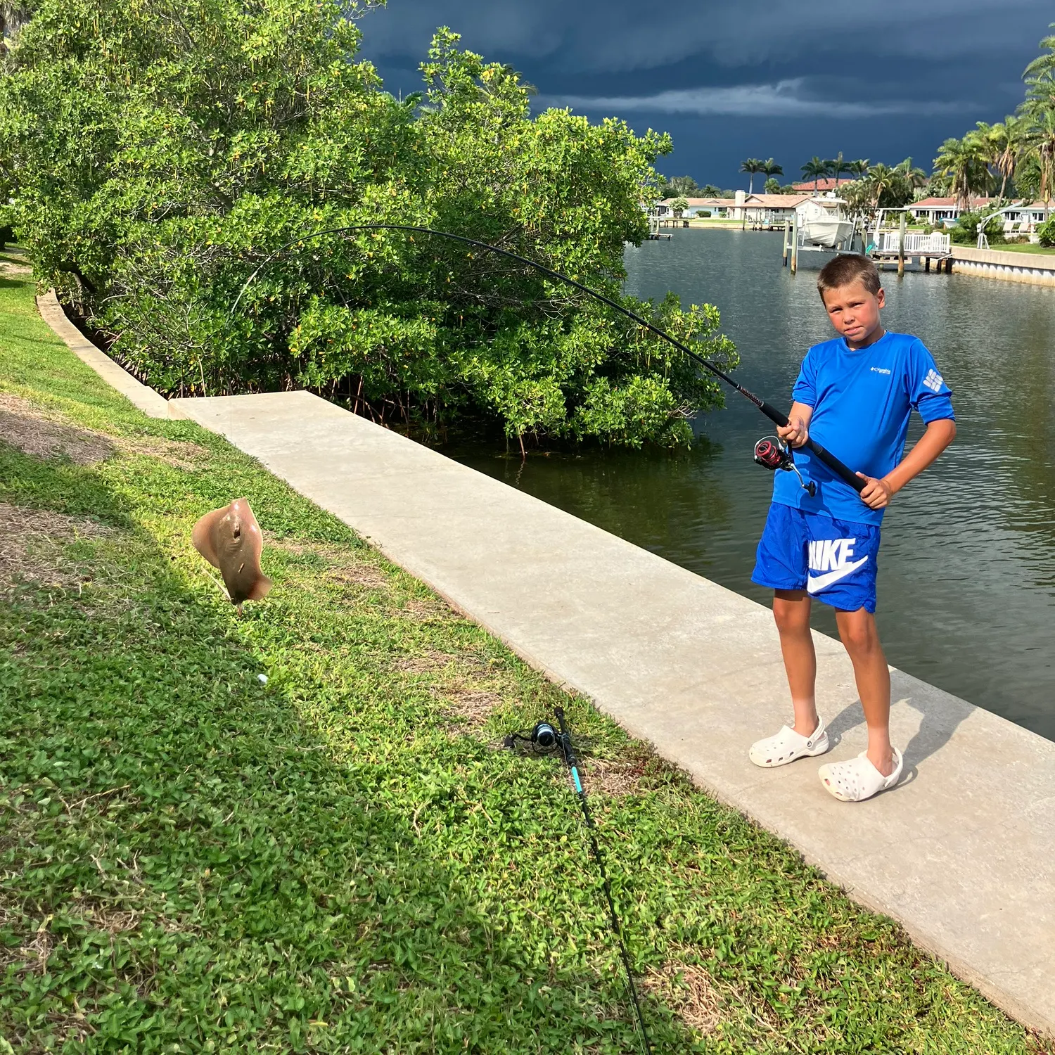 most liked catch image