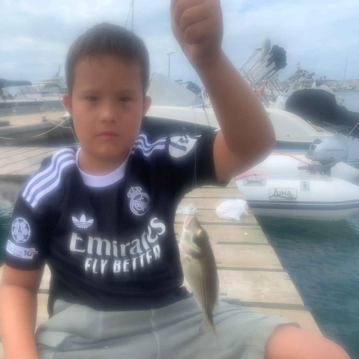 The most recent Pacific seabream catches on Fishbrain