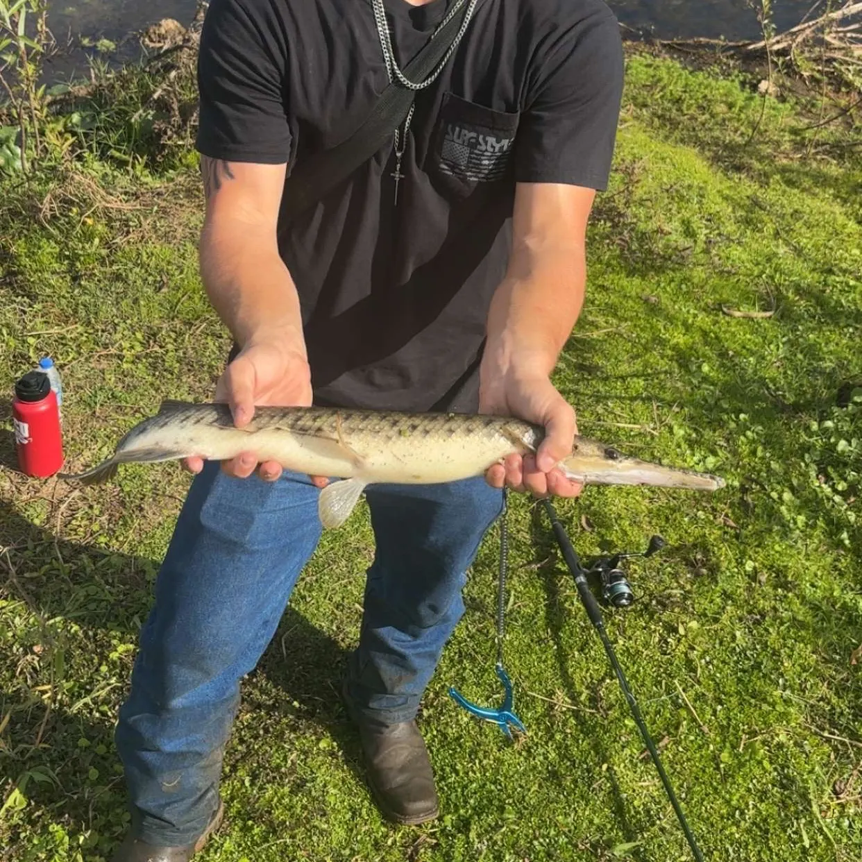 The most recent Florida gar catches on Fishbrain