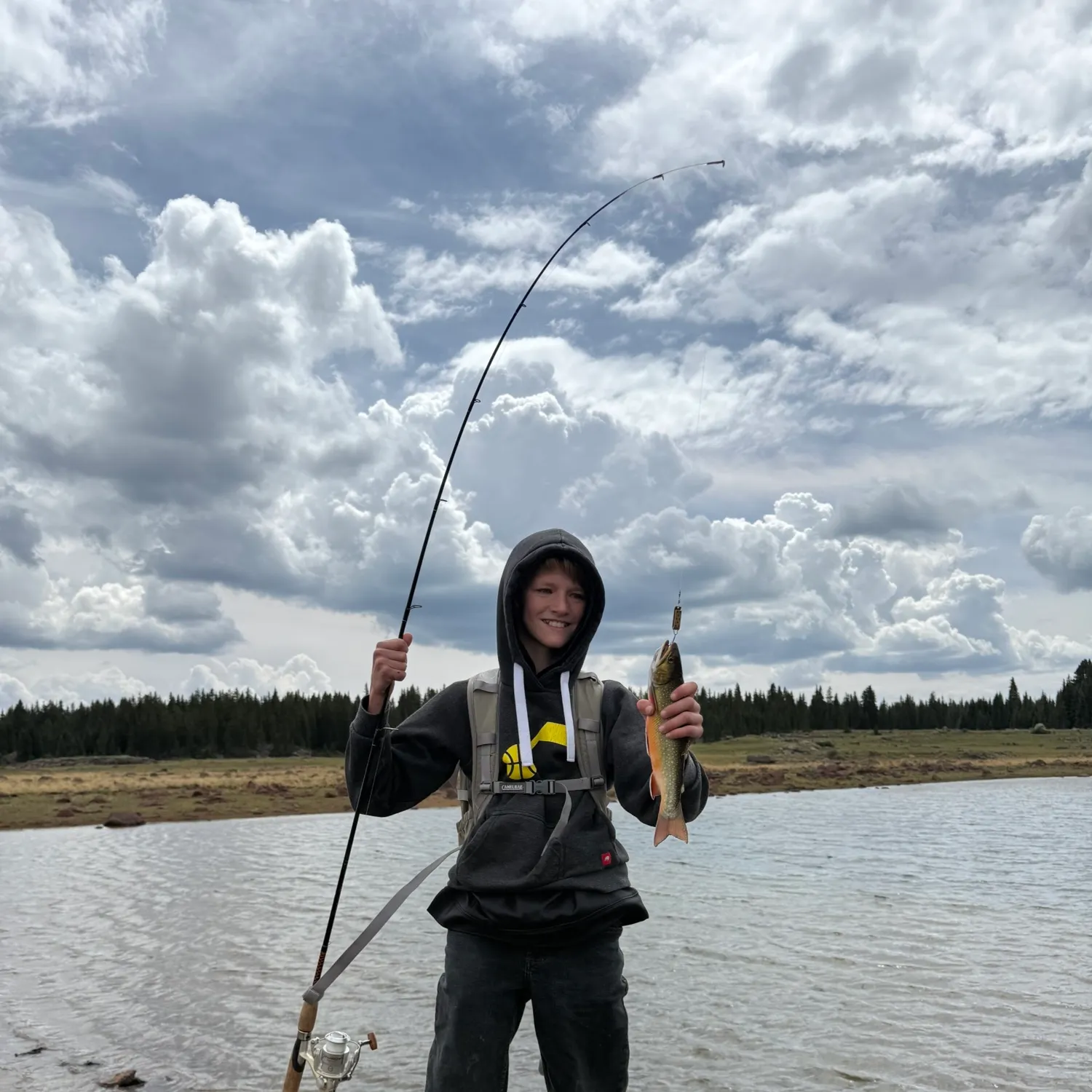 Brook trout caught on Fishbrain