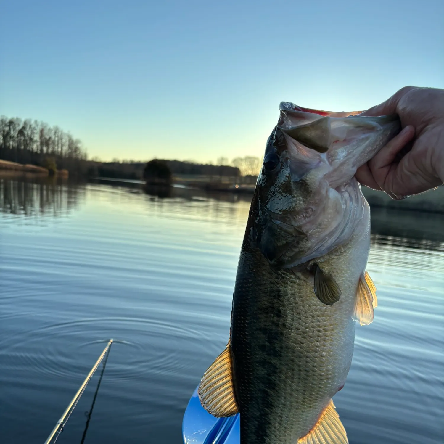angler catch
