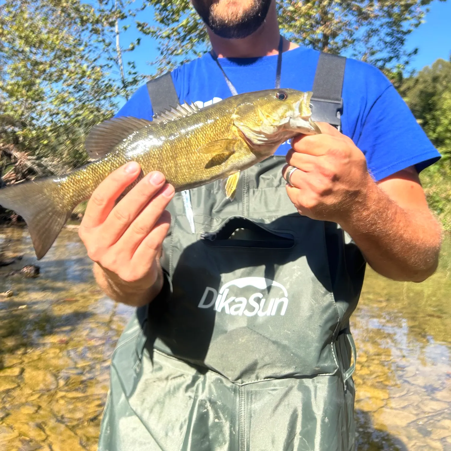 Smallmouth bass caught on Fishbrain