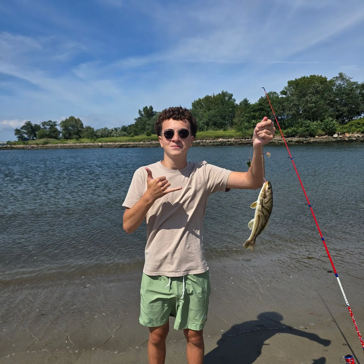 Northern kingcroaker caught on Fishbrain
