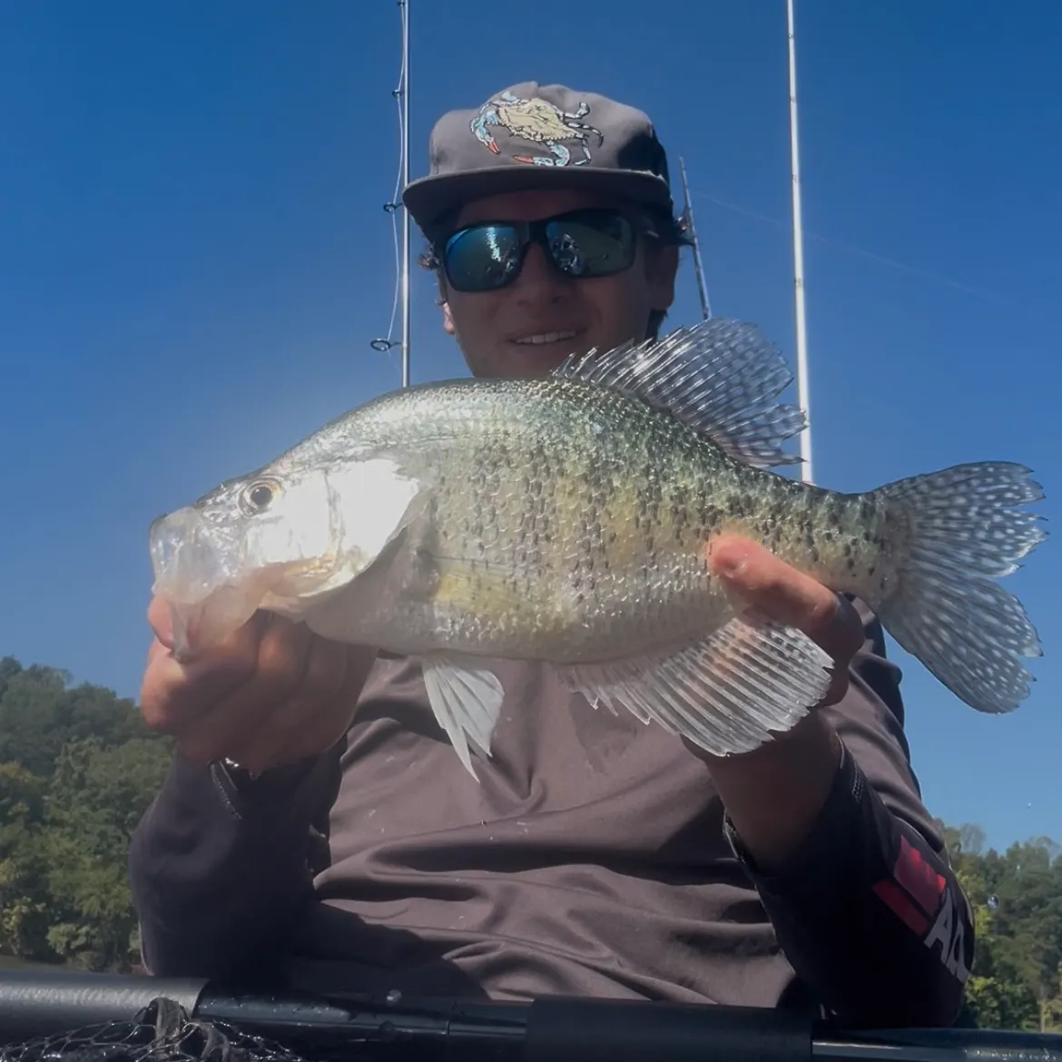 White crappie caught on Fishbrain