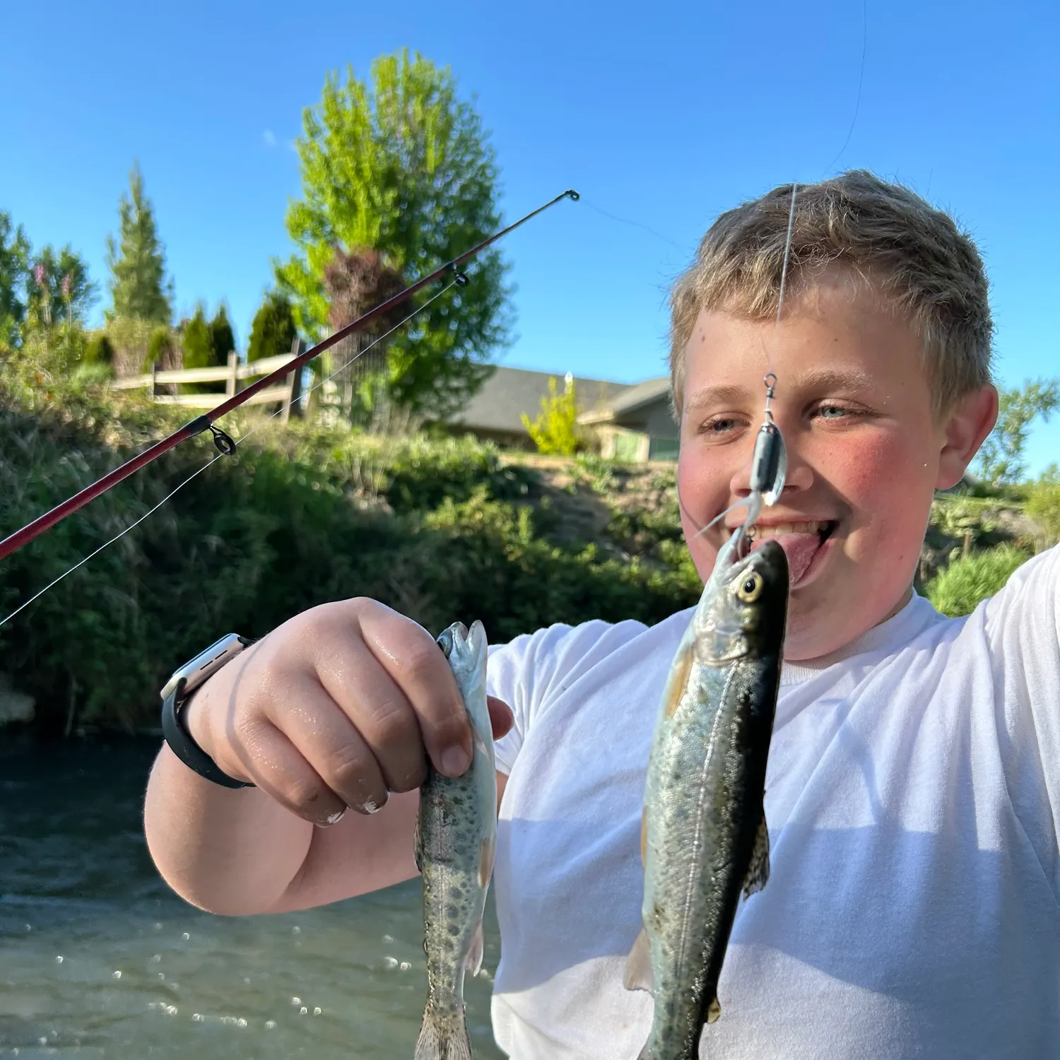 recently logged catches