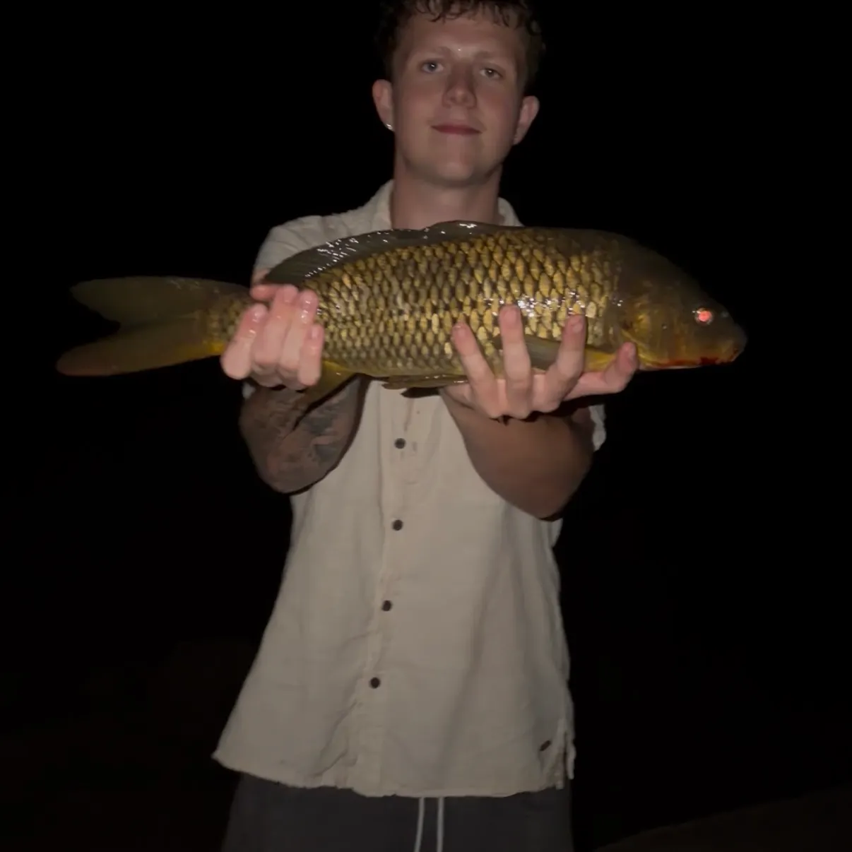 Common carp caught on Fishbrain