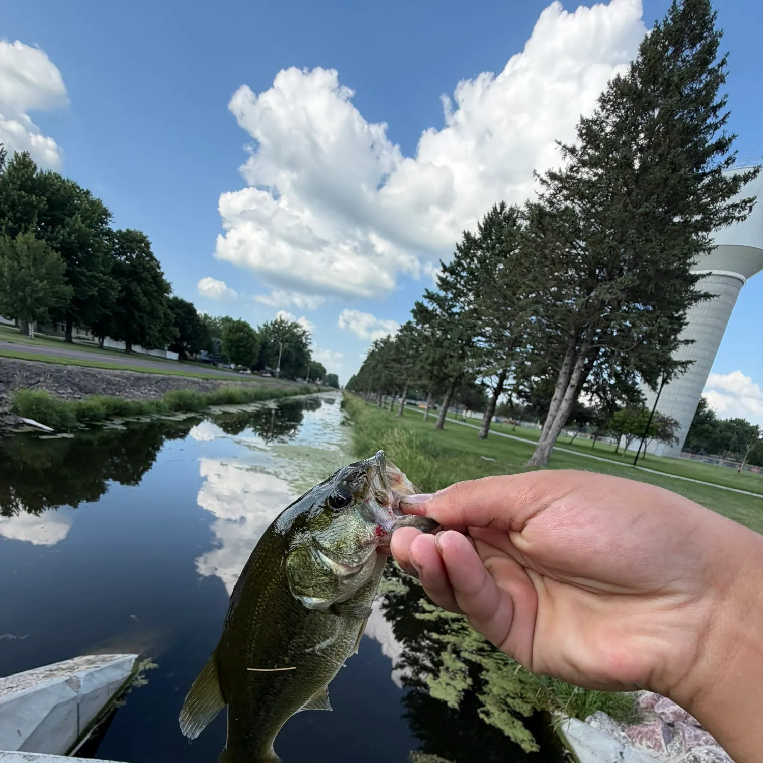 catch